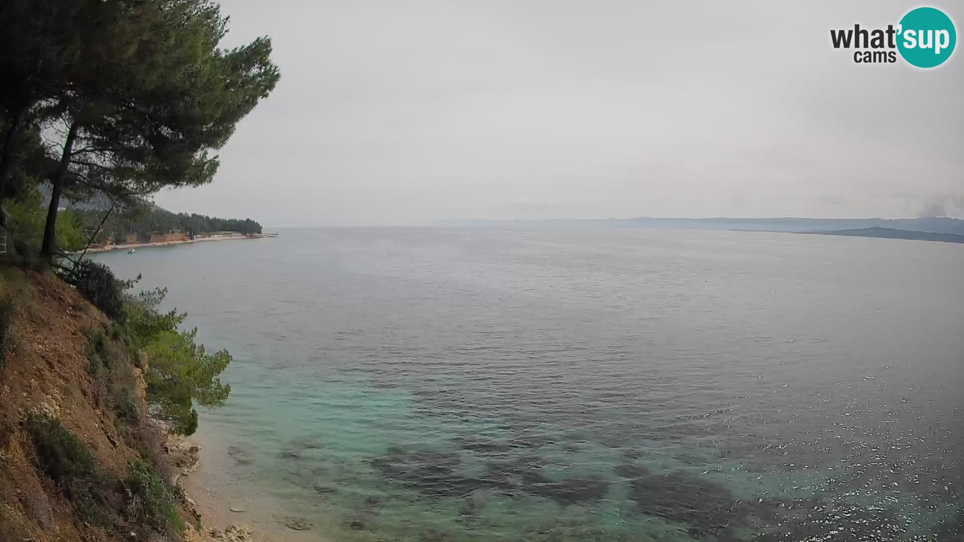 Webcam Potočine Beach Bol – Live View of Borak Beach, Brač Island