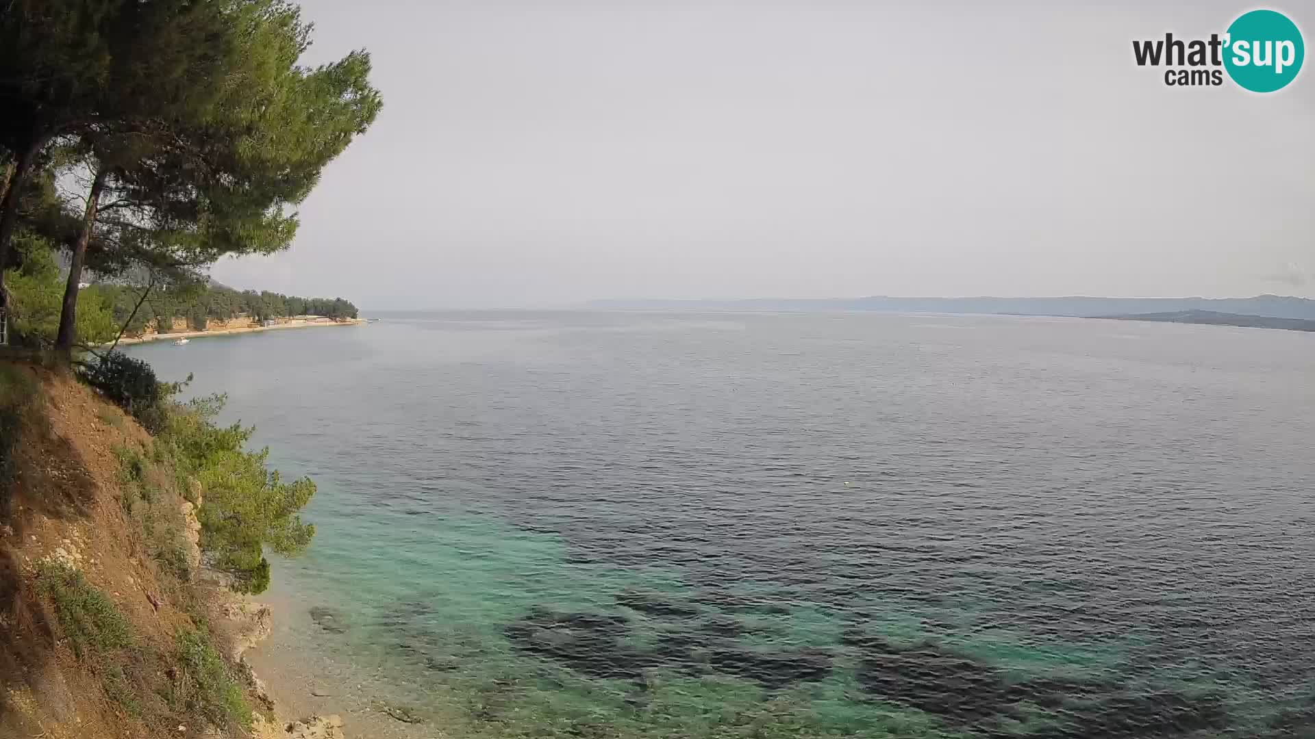 Webcam Potočine Beach Bol – Live View of Borak Beach, Brač Island