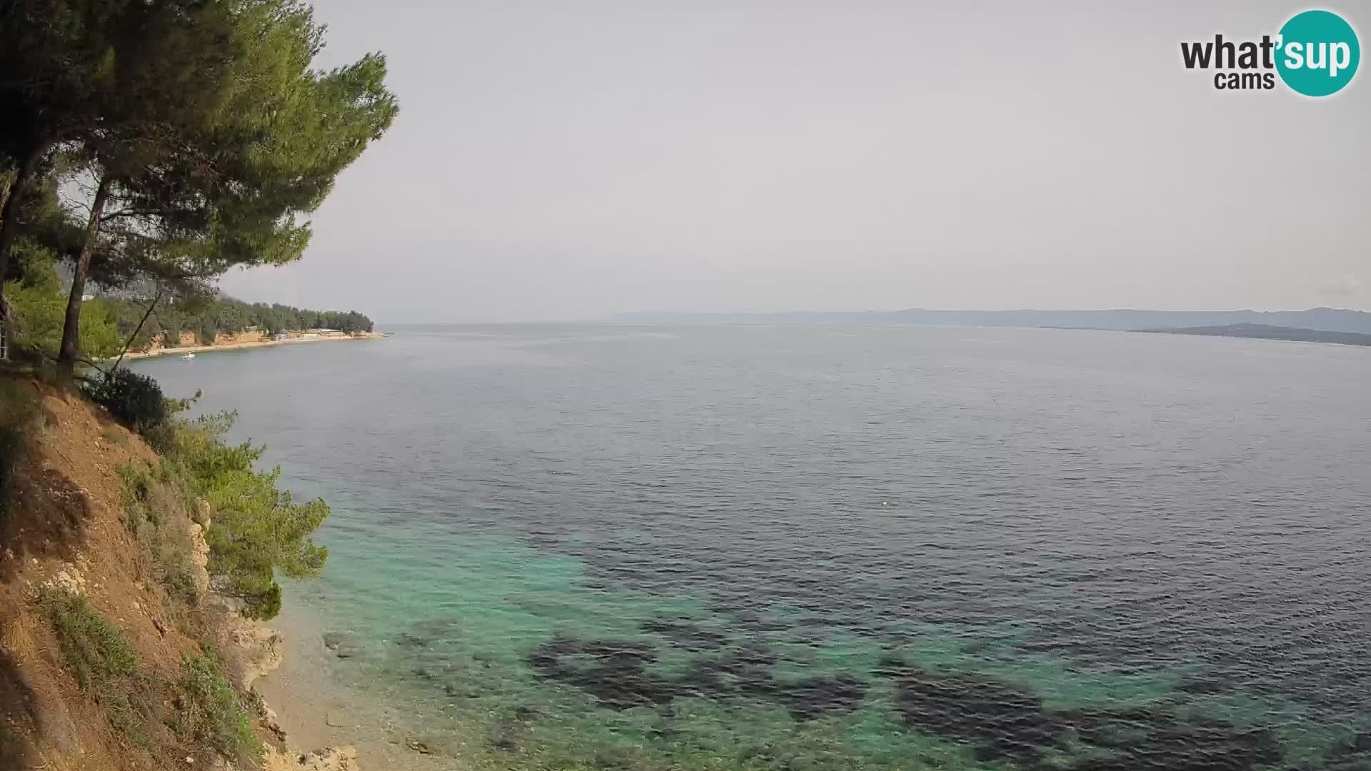 Webcam Potočine Beach Bol – Live View of Borak Beach, Brač Island