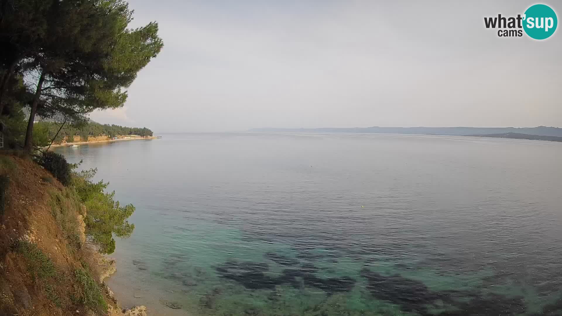 Webcam Playa Potočine Bol – Vista en vivo de Borak Beach, Isla de Brač