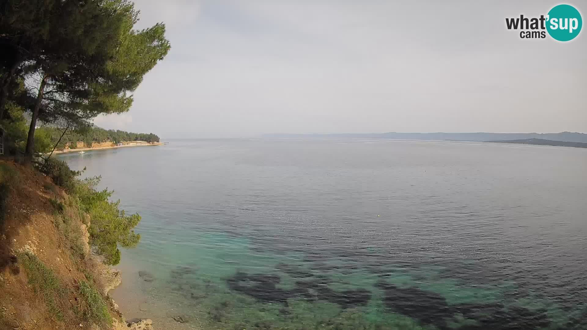 Web kamera Potočine Bol – Pogled uživo na plažu Borak, otok Brač