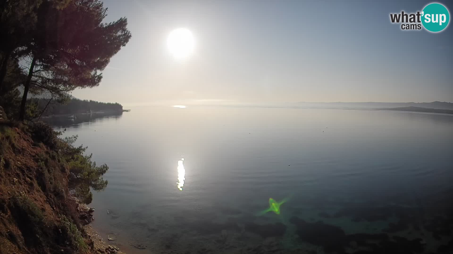 Webcam Playa Potočine Bol – Vista en vivo de Borak Beach, Isla de Brač