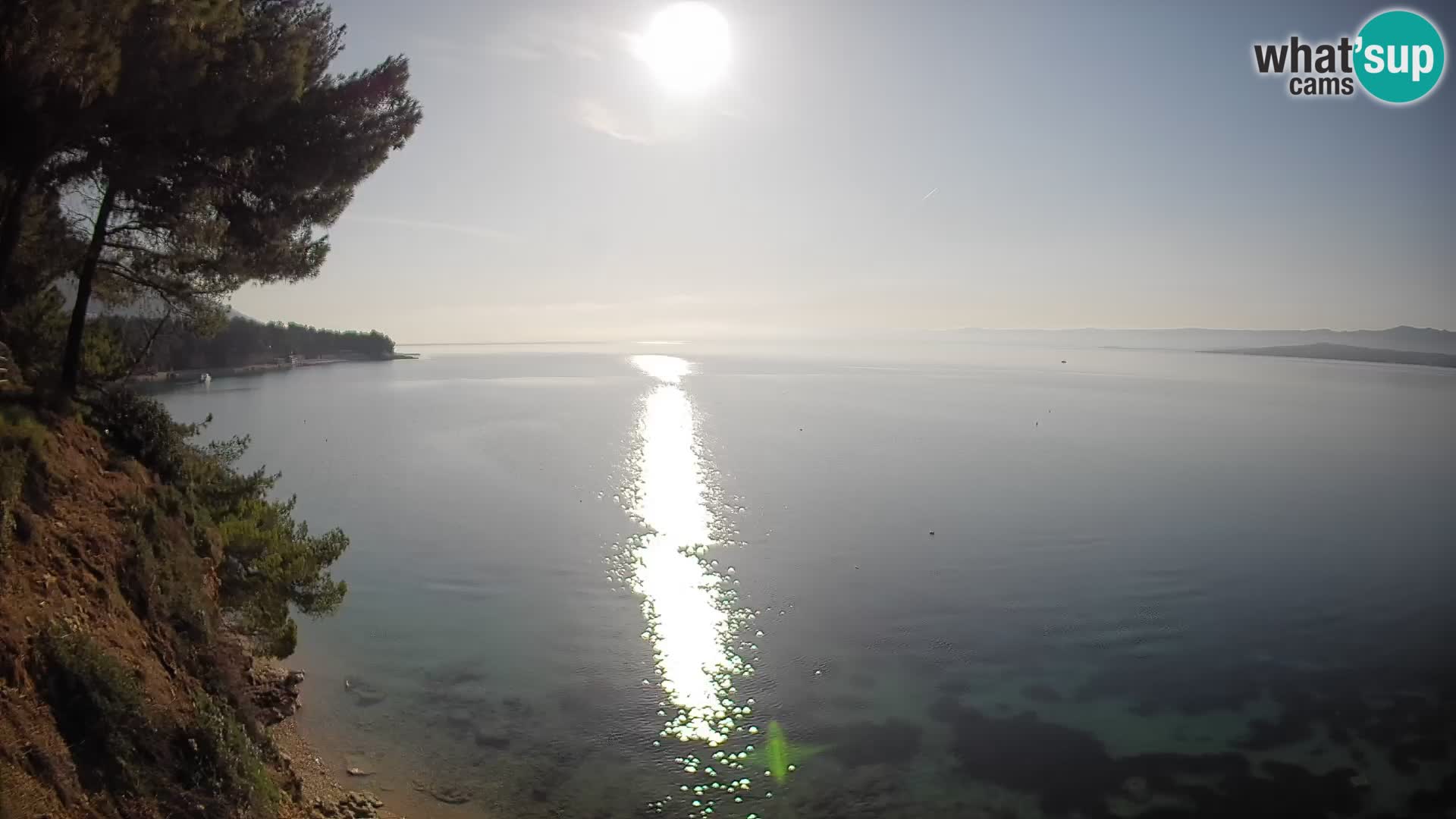 Webcam Potočine Beach Bol – Live View of Borak Beach, Brač Island