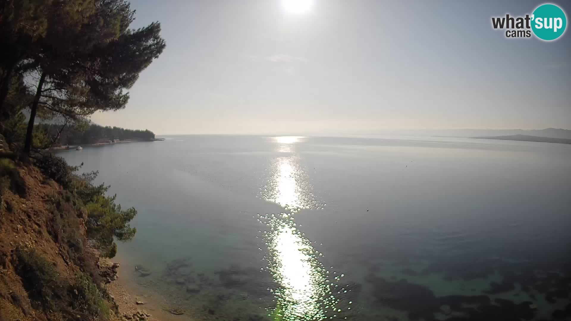 Webcam Playa Potočine Bol – Vista en vivo de Borak Beach, Isla de Brač
