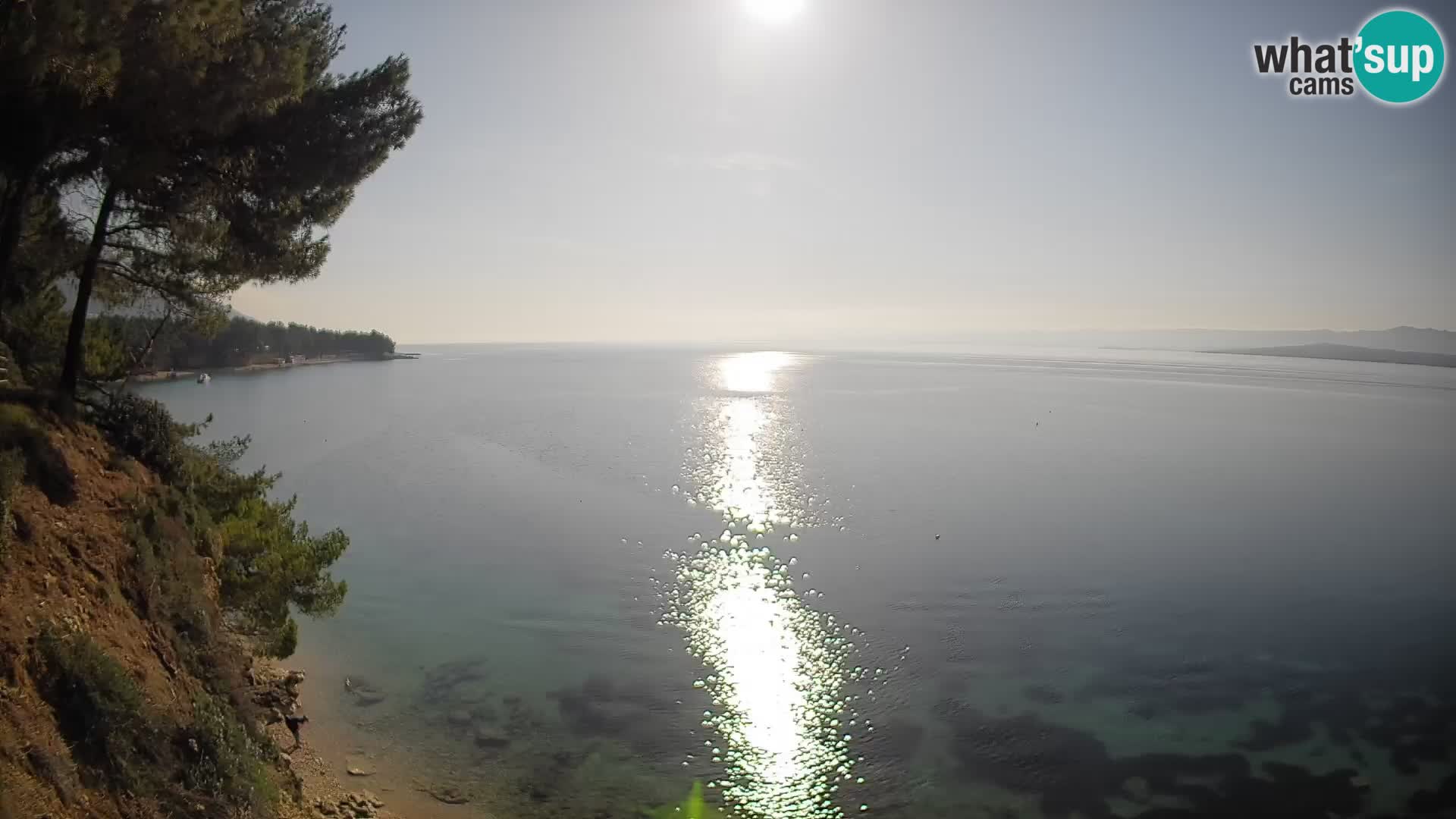 Webcam Playa Potočine Bol – Vista en vivo de Borak Beach, Isla de Brač