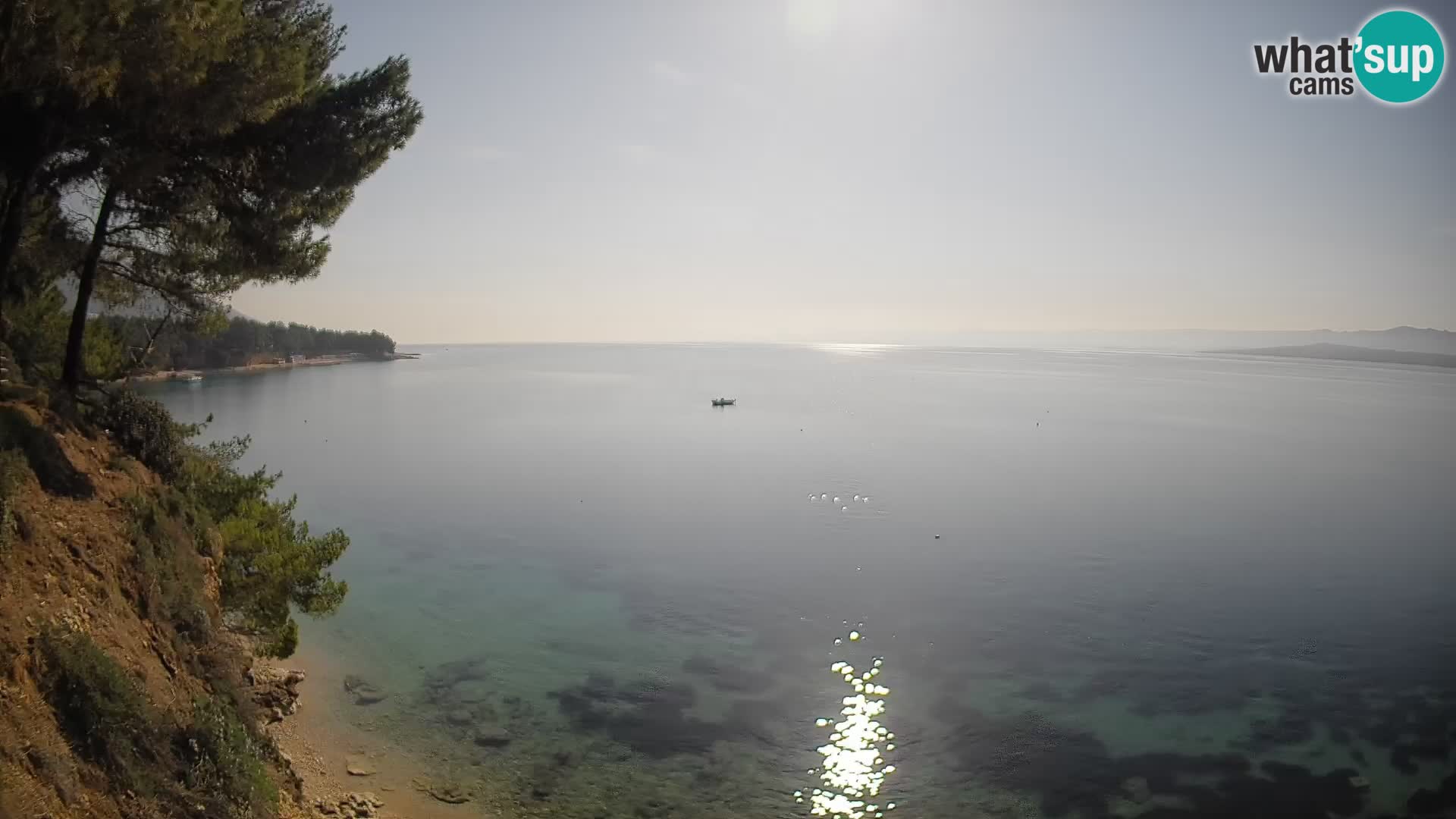 Web kamera Potočine Bol – Pogled uživo na plažu Borak, otok Brač