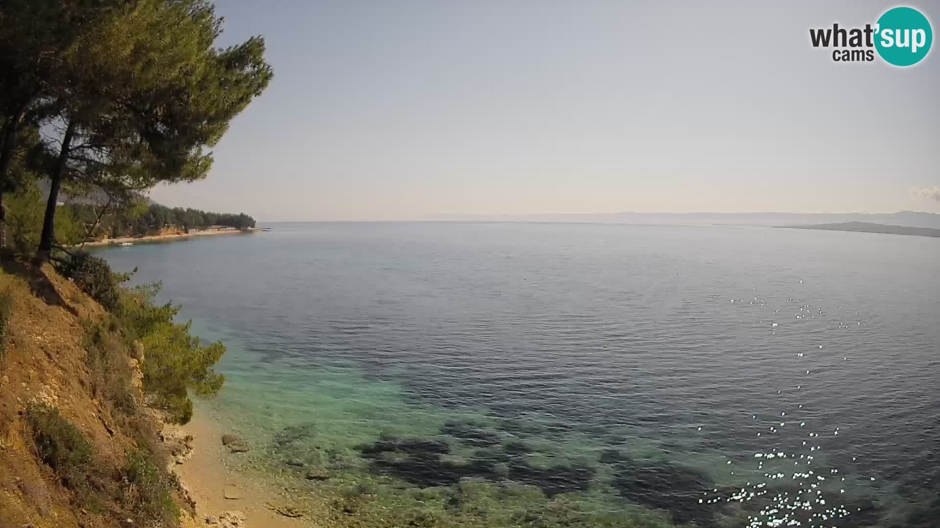 Web kamera Potočine Bol – Pogled uživo na plažu Borak, otok Brač