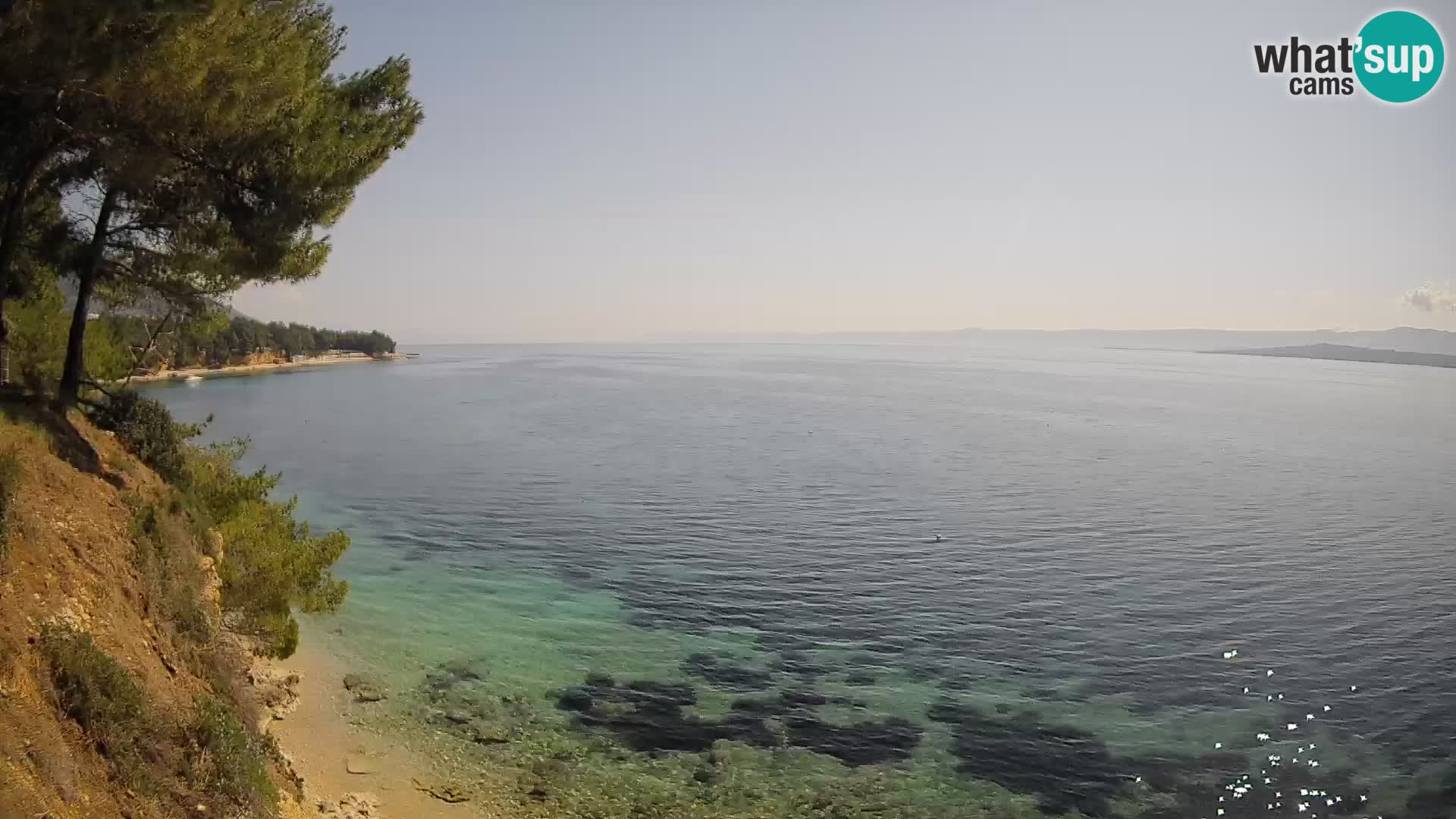 Webcam Spiaggia Potočine Bol – Vista live sulla spiaggia Borak, Isola di Brač