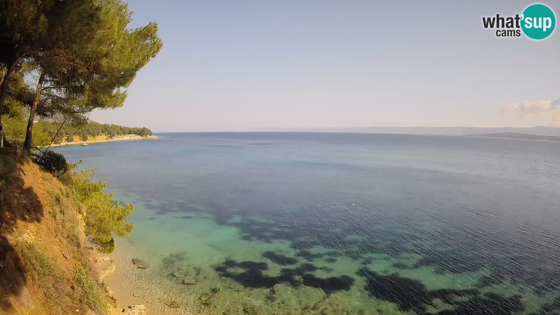 Webcam Playa Potočine Bol – Vista en vivo de Borak Beach, Isla de Brač