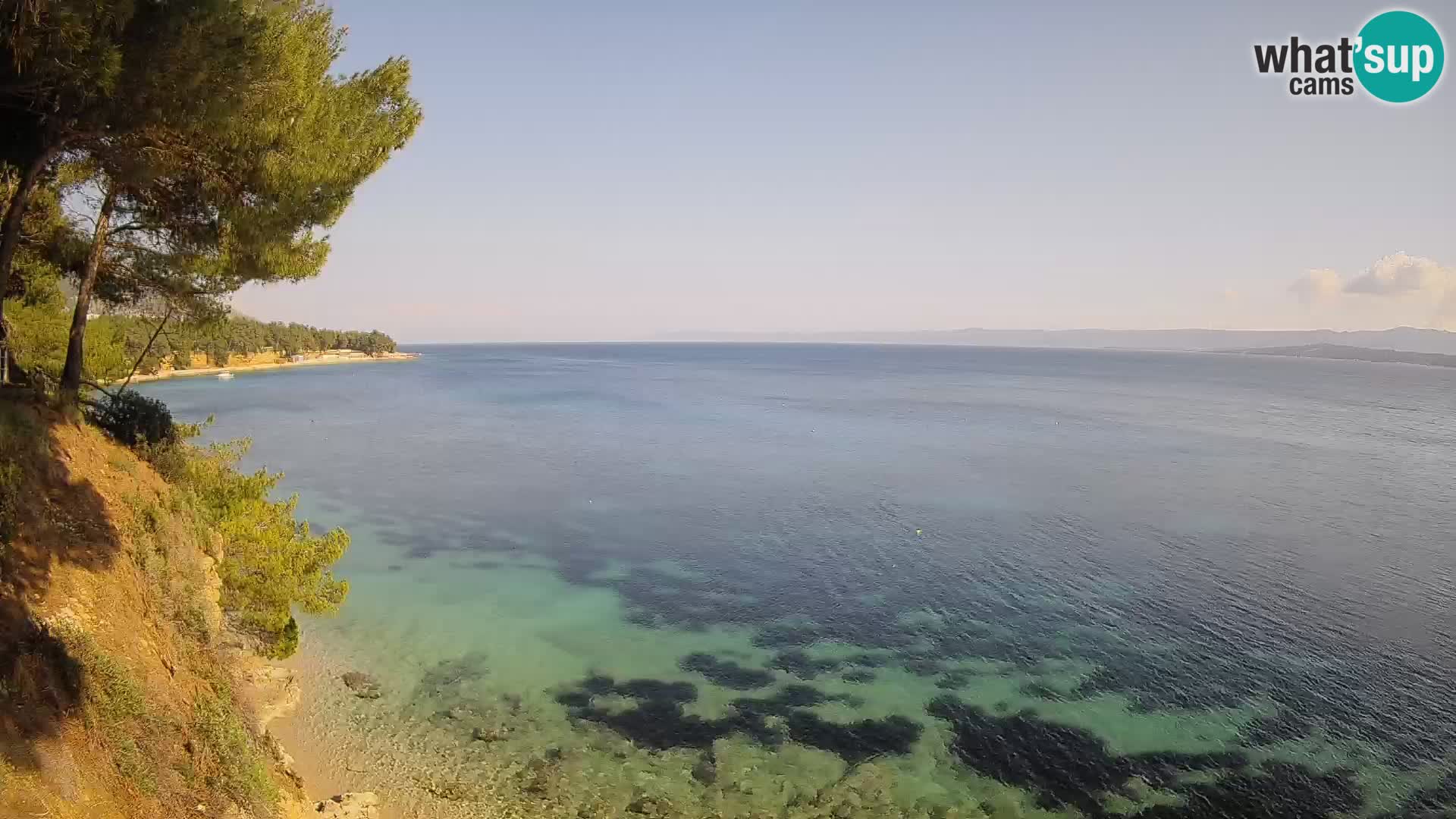 Webcam Playa Potočine Bol – Vista en vivo de Borak Beach, Isla de Brač