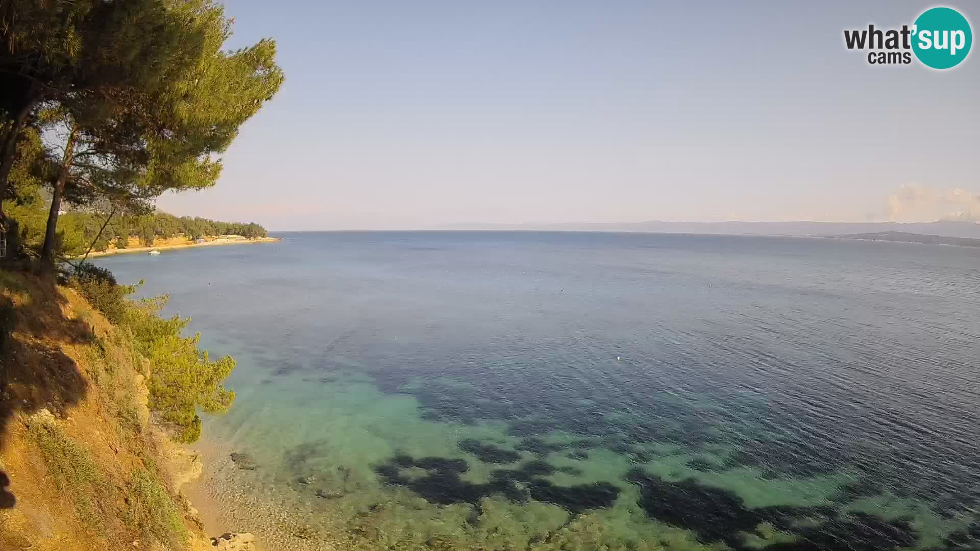 Webcam Potočine Beach Bol – Live View of Borak Beach, Brač Island