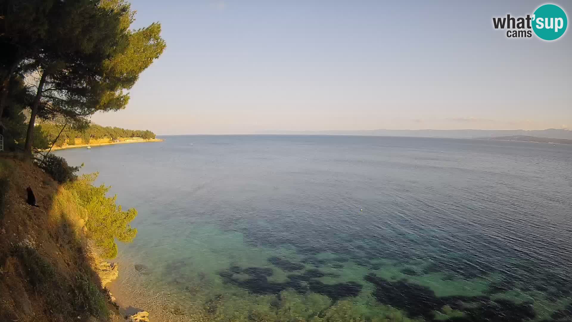 Spletna kamera Plaža Potočine Bol – Pogled v živo na plažo Borak, otok Brač