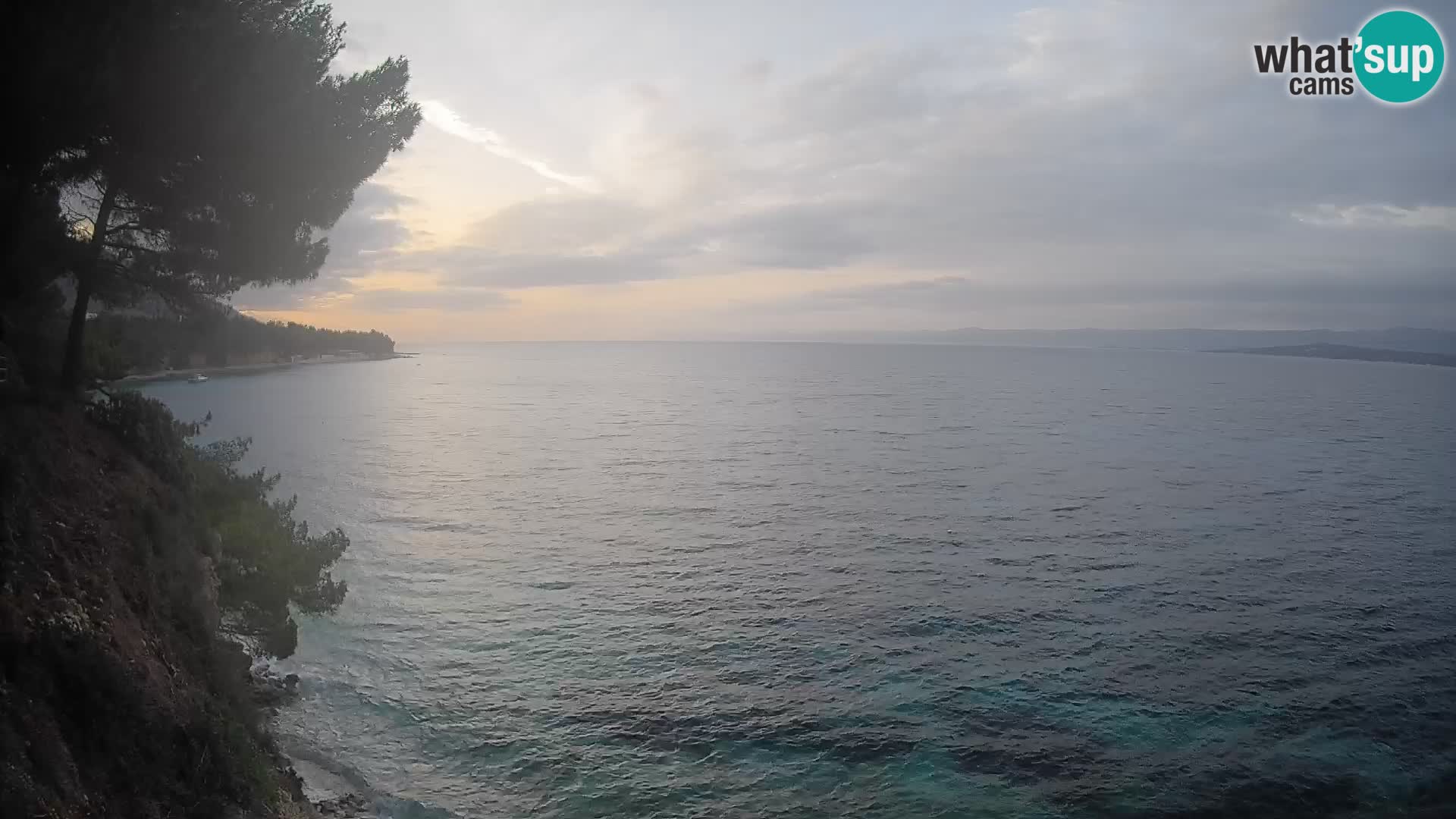 Webcam plage Potočine Bol – Vue en direct sur Borak Beach, île de Brač
