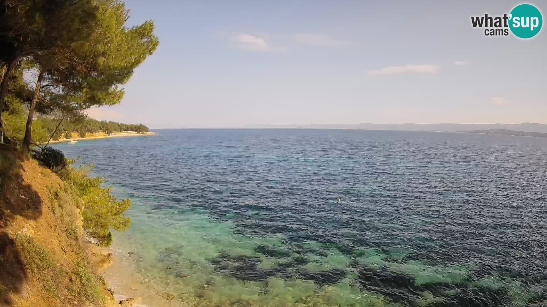Webcam Potočine Beach Bol – Live View of Borak Beach, Brač Island