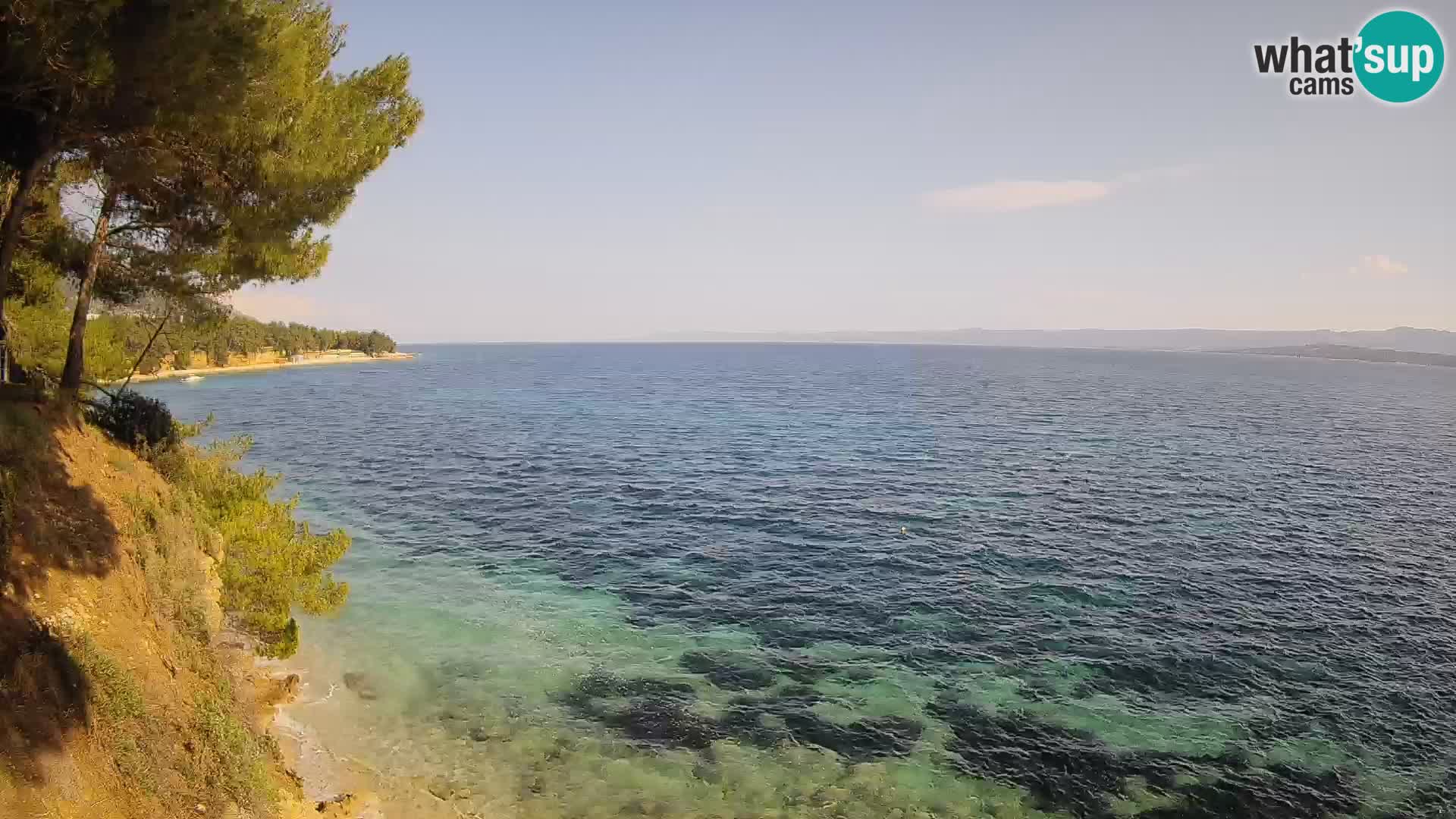 Webcam Playa Potočine Bol – Vista en vivo de Borak Beach, Isla de Brač