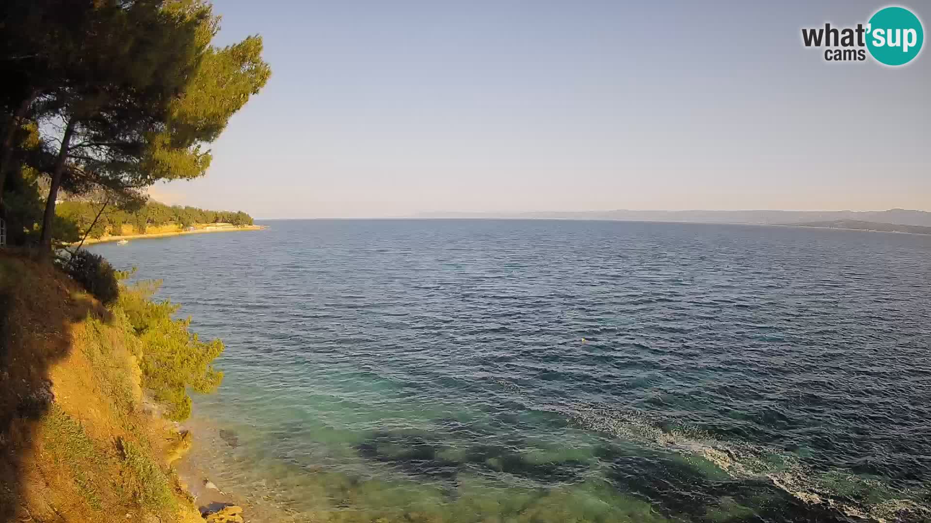 Webcam Potočine Beach Bol – Live View of Borak Beach, Brač Island