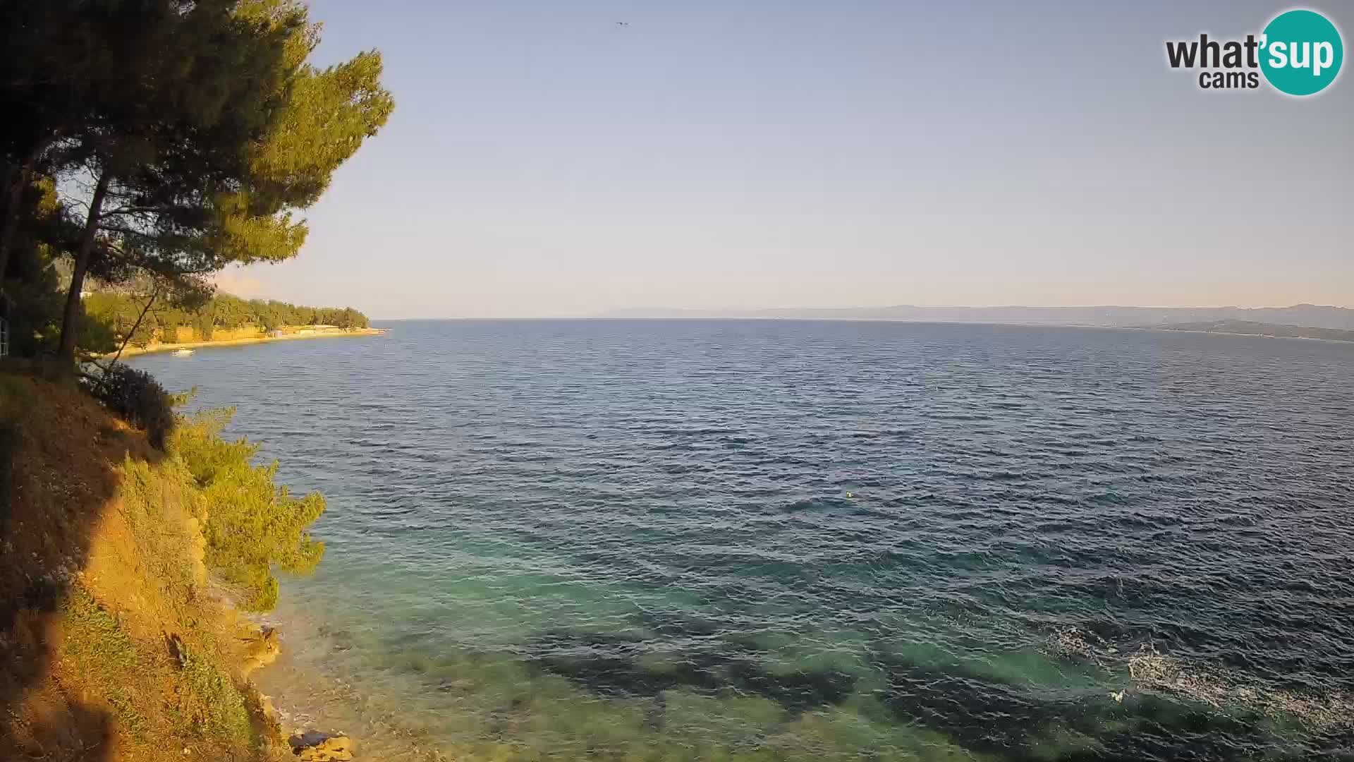 Webcam Spiaggia Potočine Bol – Vista live sulla spiaggia Borak, Isola di Brač