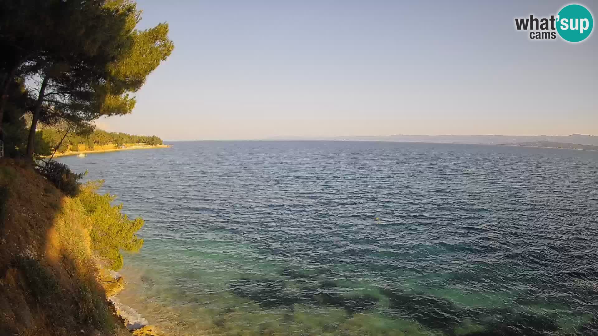 Webcam plage Potočine Bol – Vue en direct sur Borak Beach, île de Brač