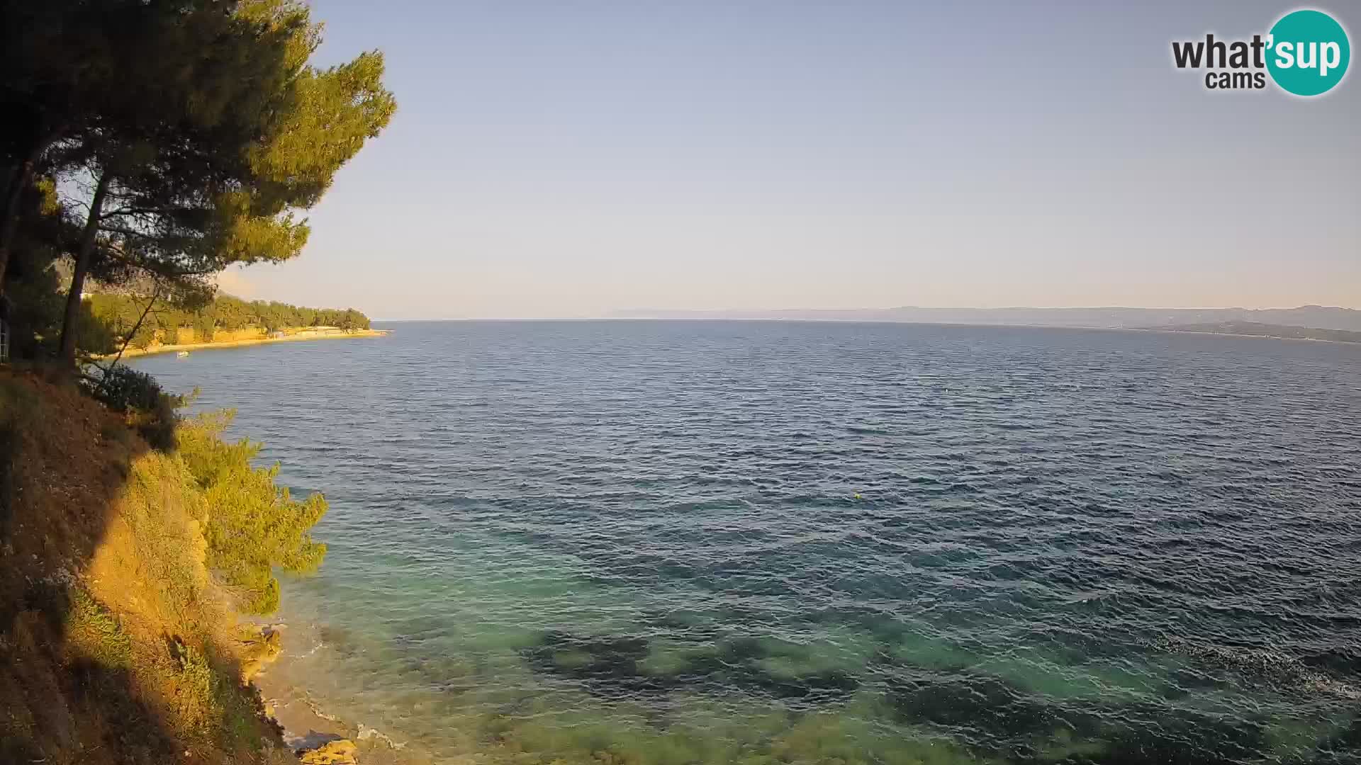 Webcam Playa Potočine Bol – Vista en vivo de Borak Beach, Isla de Brač