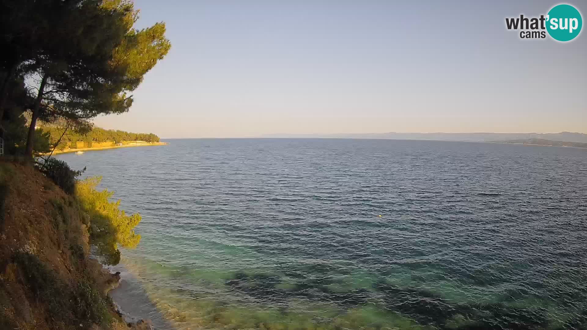 Webcam Potočine Beach Bol – Live View of Borak Beach, Brač Island