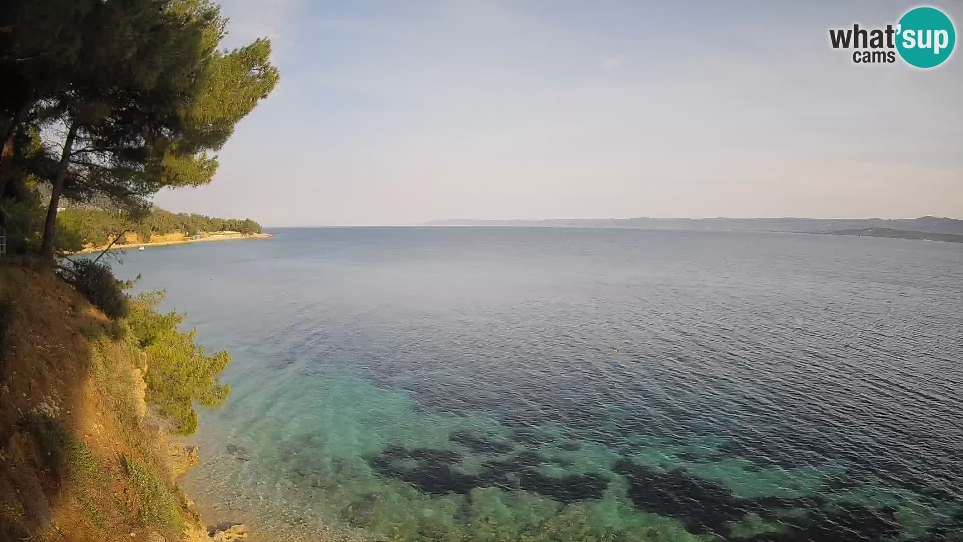 Webcam plage Potočine Bol – Vue en direct sur Borak Beach, île de Brač