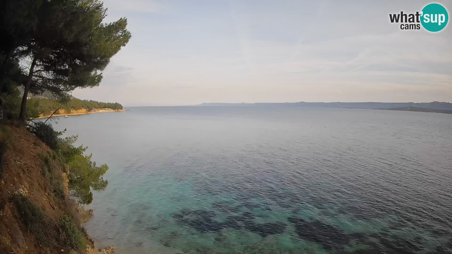 Webcam Potočine Beach Bol – Live View of Borak Beach, Brač Island