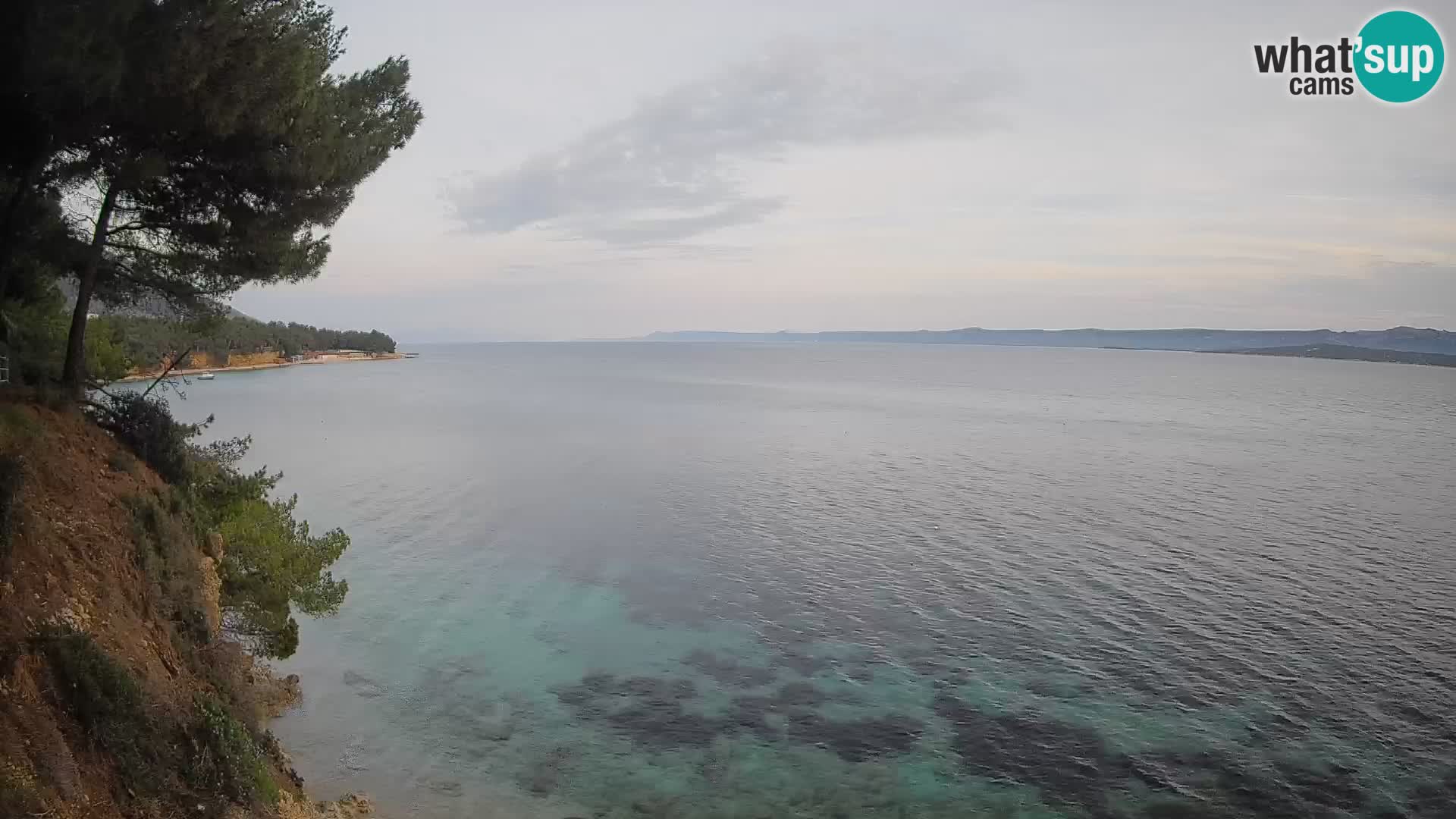 Webcam Potočine Beach Bol – Live View of Borak Beach, Brač Island