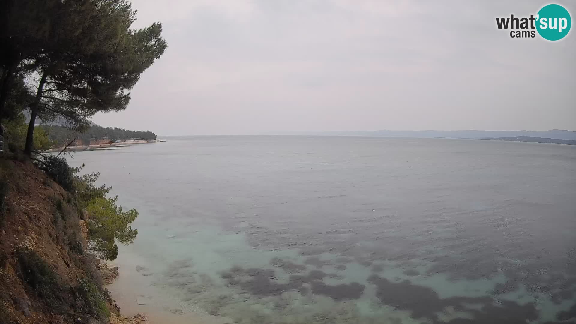 Webcam plage Potočine Bol – Vue en direct sur Borak Beach, île de Brač