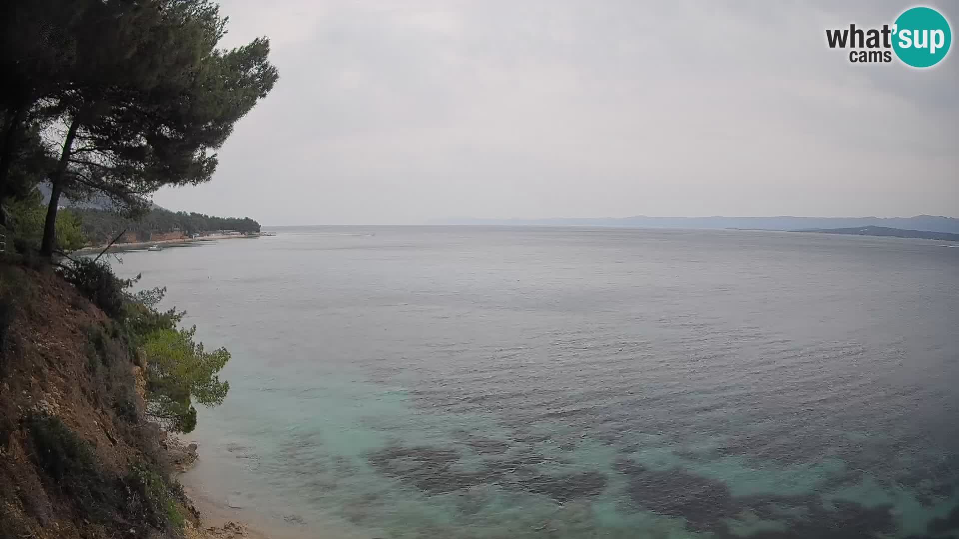 Webcam Playa Potočine Bol – Vista en vivo de Borak Beach, Isla de Brač