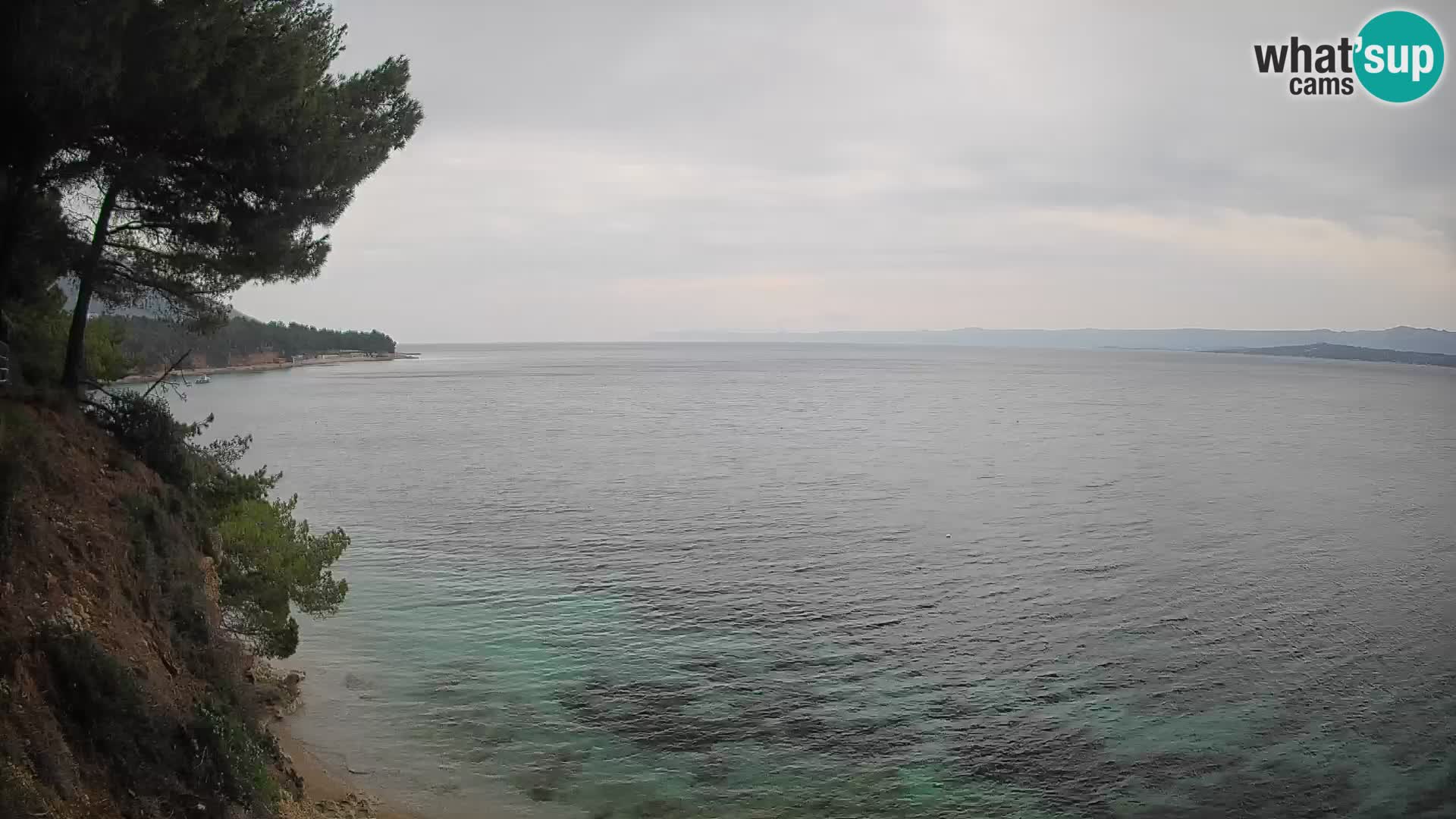 Webcam Potočine Beach Bol – Live View of Borak Beach, Brač Island