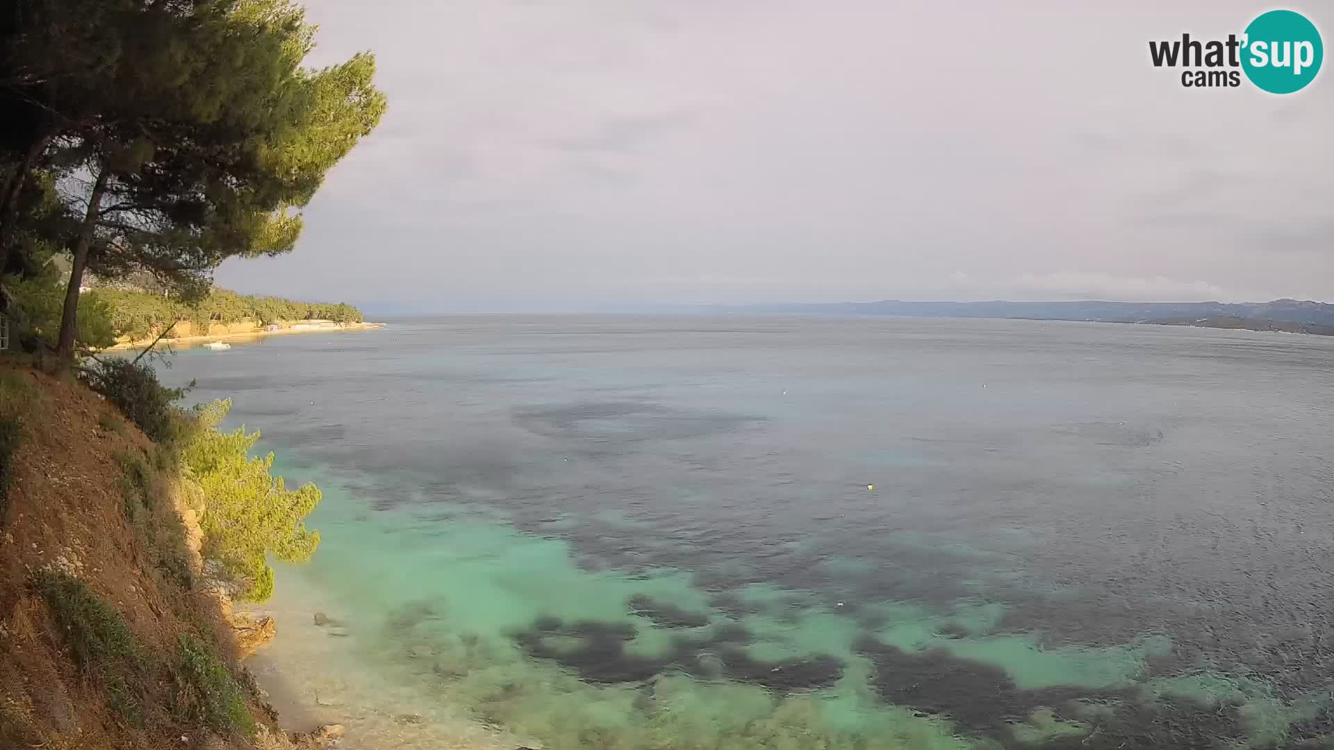 Webcam plage Potočine Bol – Vue en direct sur Borak Beach, île de Brač