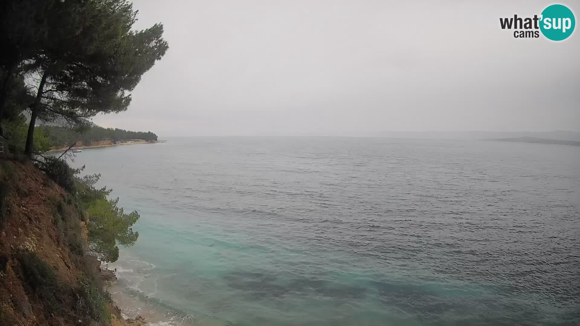 Webcam Potočine Beach Bol – Live View of Borak Beach, Brač Island