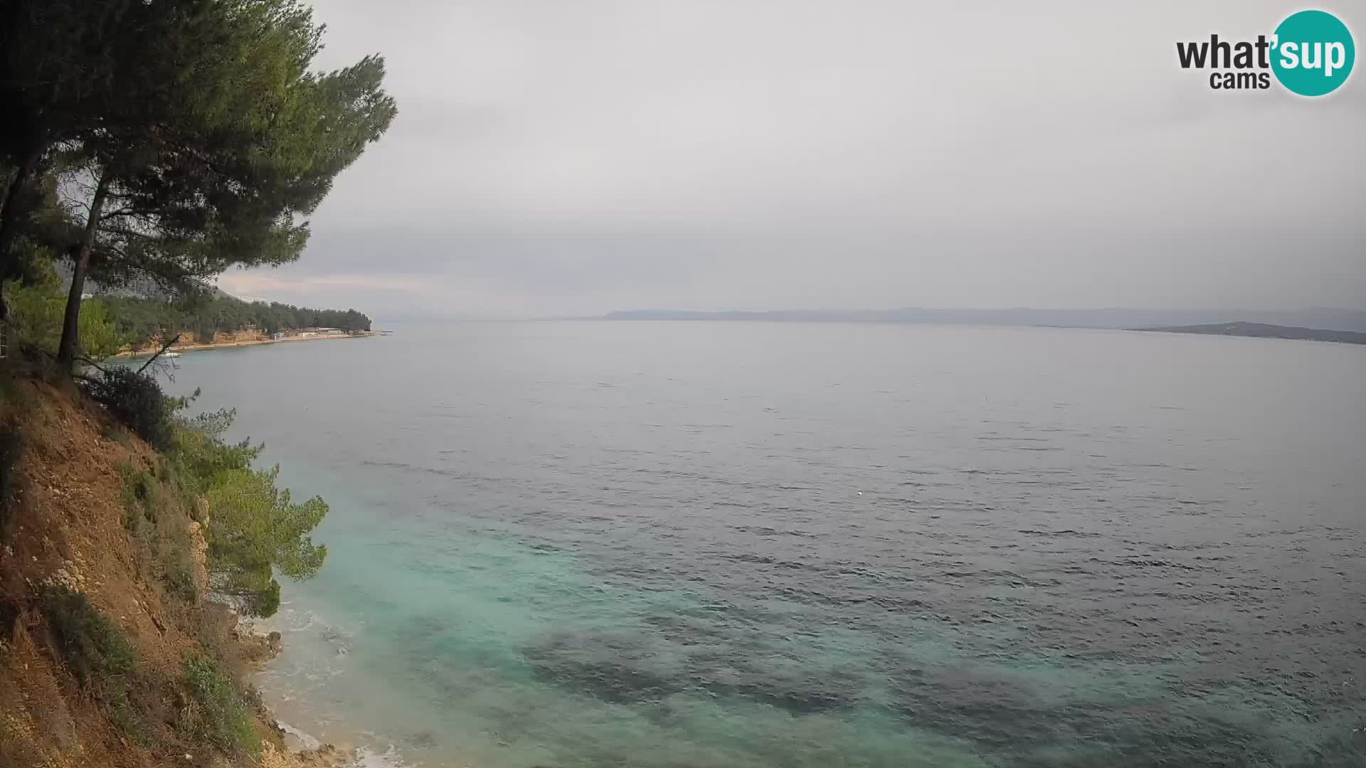 Webcam Potočine Beach Bol – Live View of Borak Beach, Brač Island