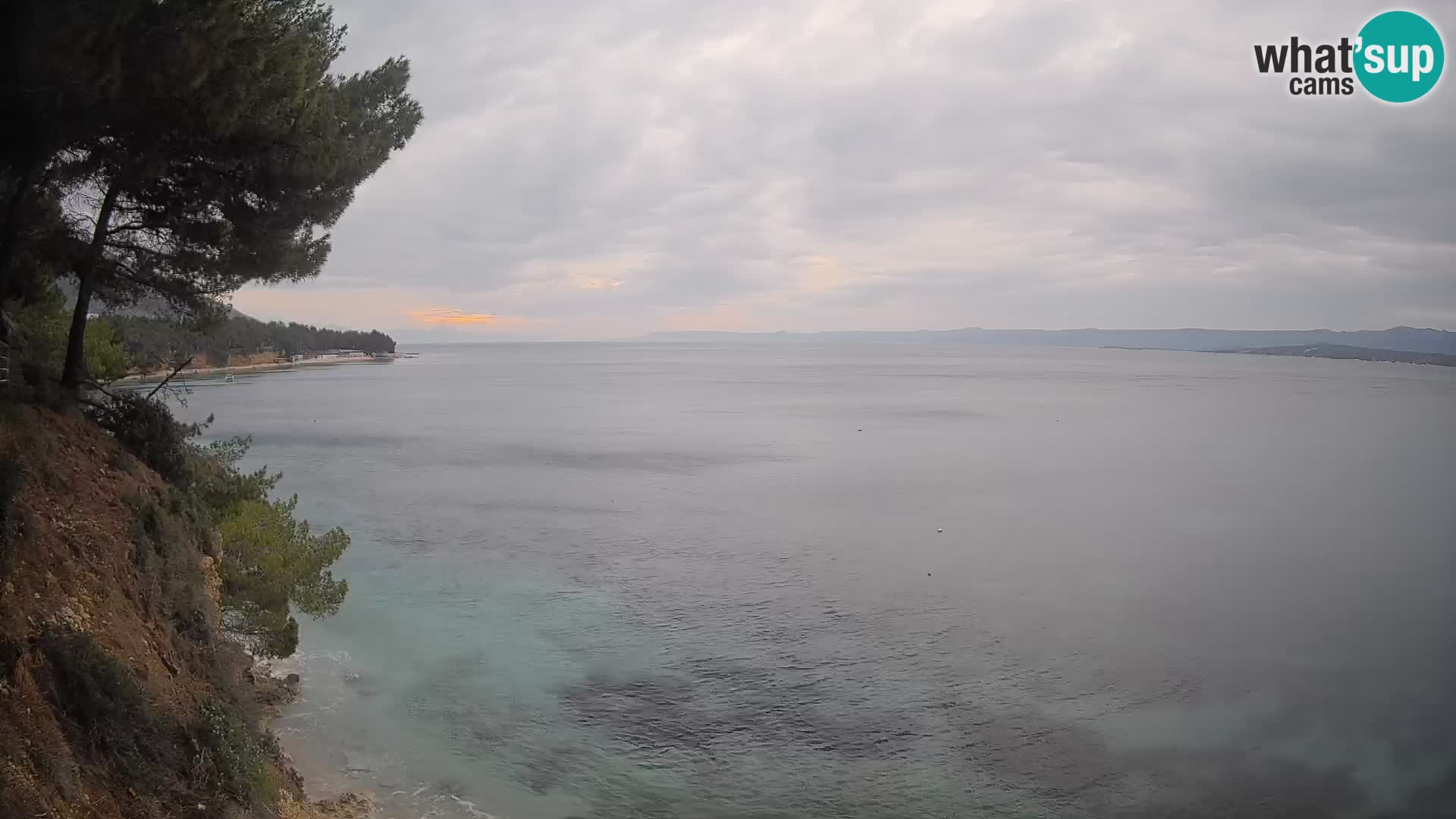 Webcam Potočine Beach Bol – Live View of Borak Beach, Brač Island
