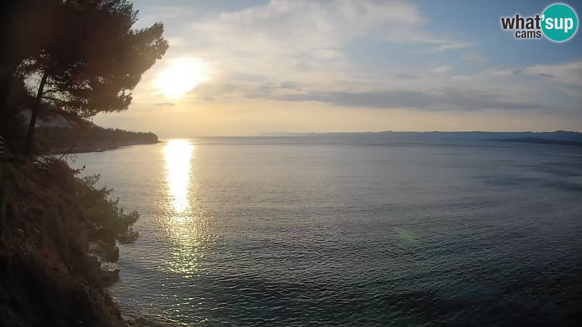 Webcam Potočine Beach Bol – Live View of Borak Beach, Brač Island