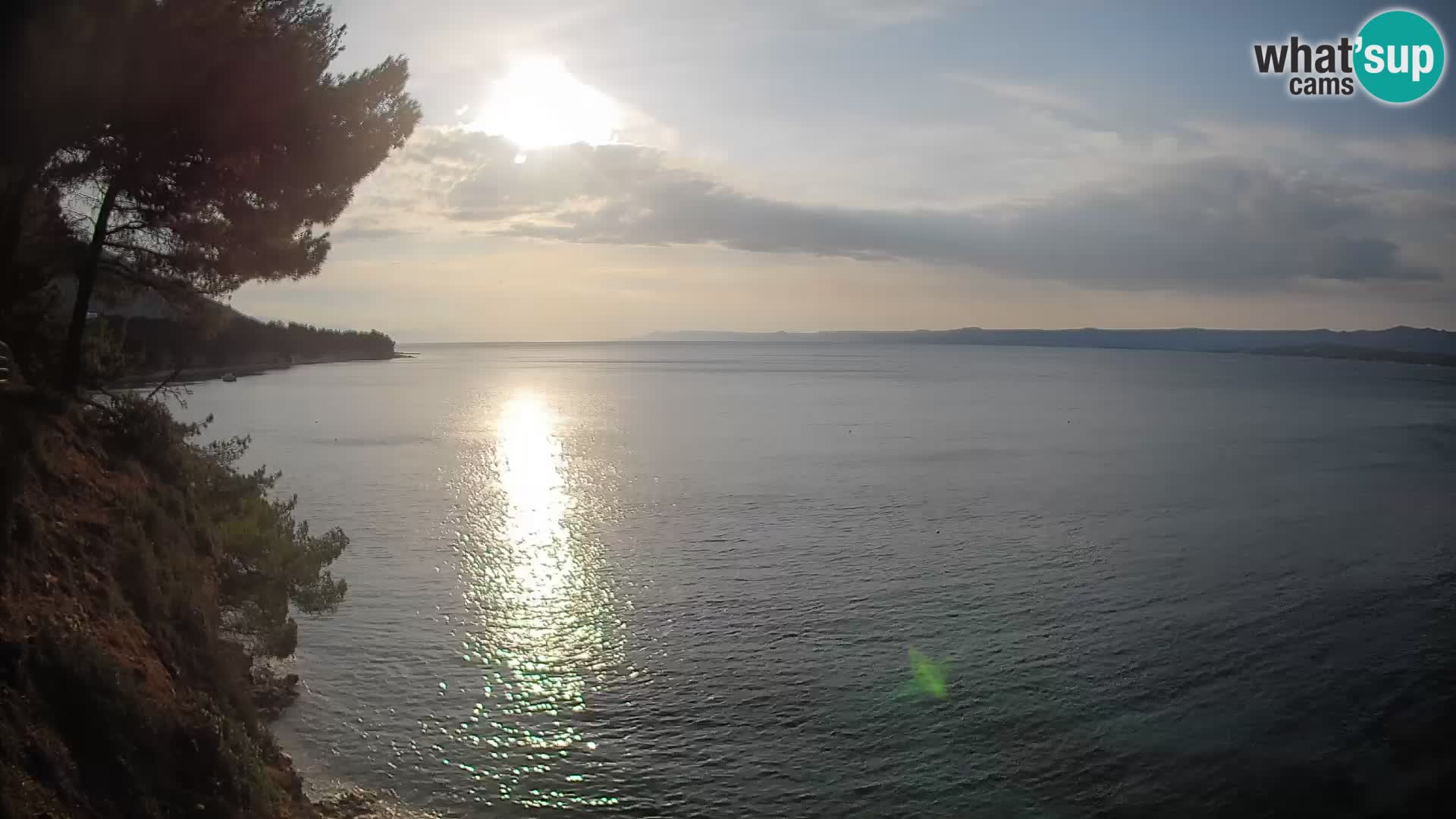 Webcam Potočine Beach Bol – Live View of Borak Beach, Brač Island