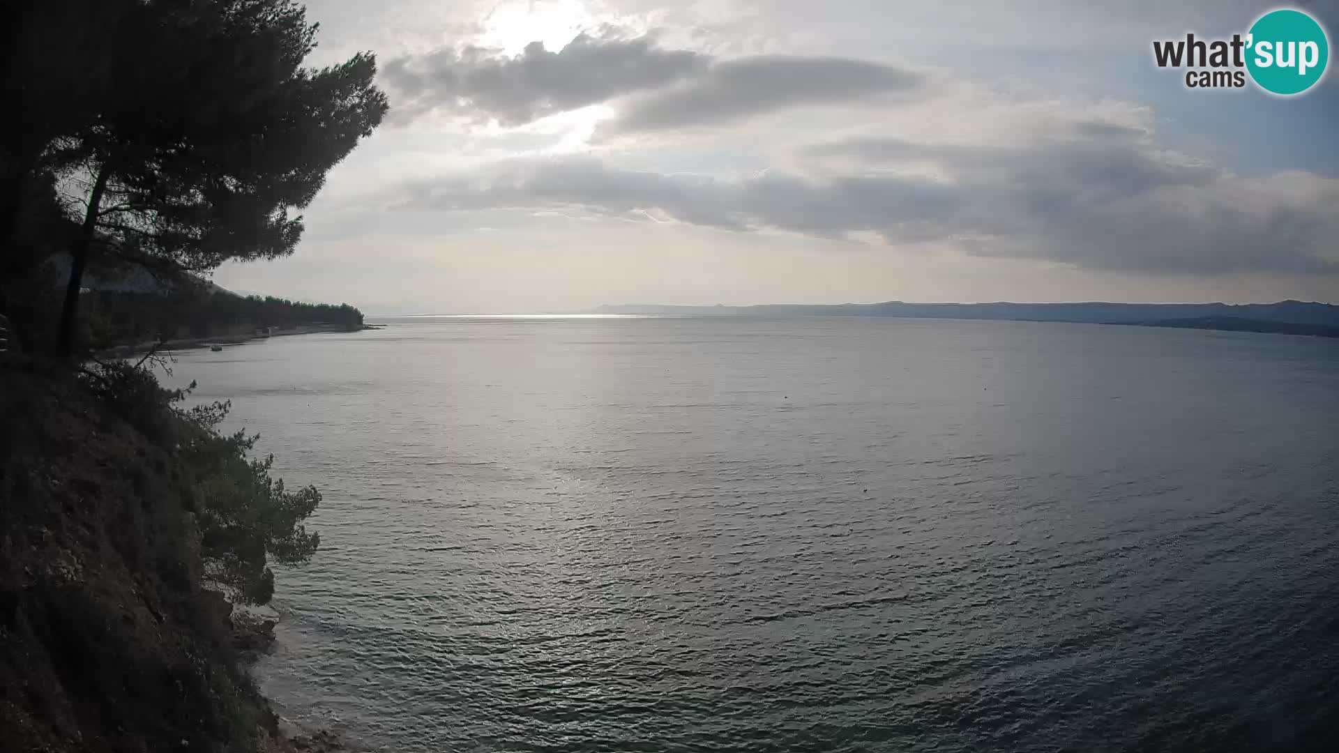 Webcam Potočine Beach Bol – Live View of Borak Beach, Brač Island