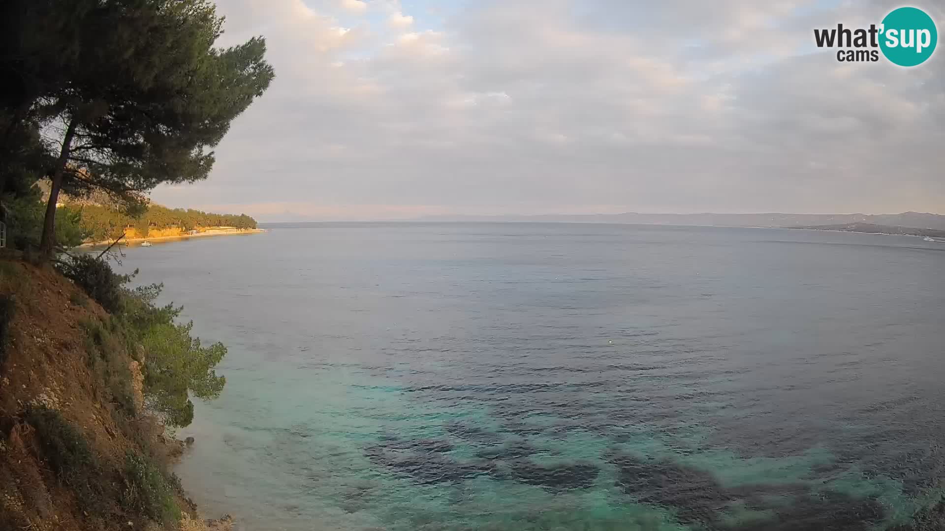 Webcam Playa Potočine Bol – Vista en vivo de Borak Beach, Isla de Brač