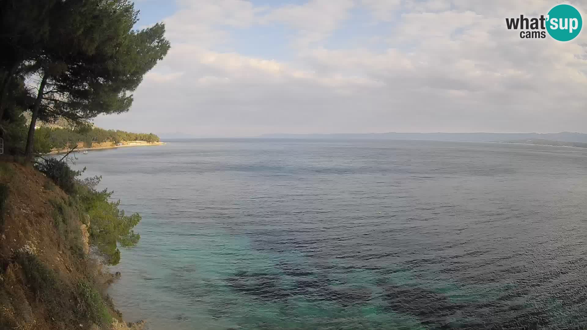 Webcam Potočine Beach Bol – Live View of Borak Beach, Brač Island