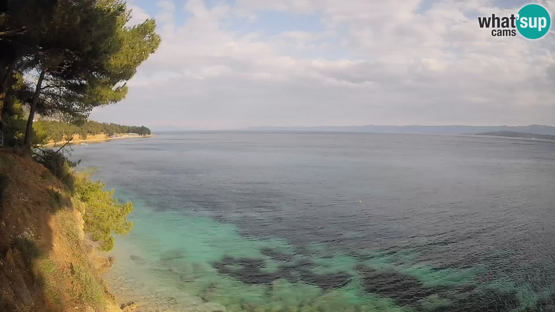 Webcam Playa Potočine Bol – Vista en vivo de Borak Beach, Isla de Brač