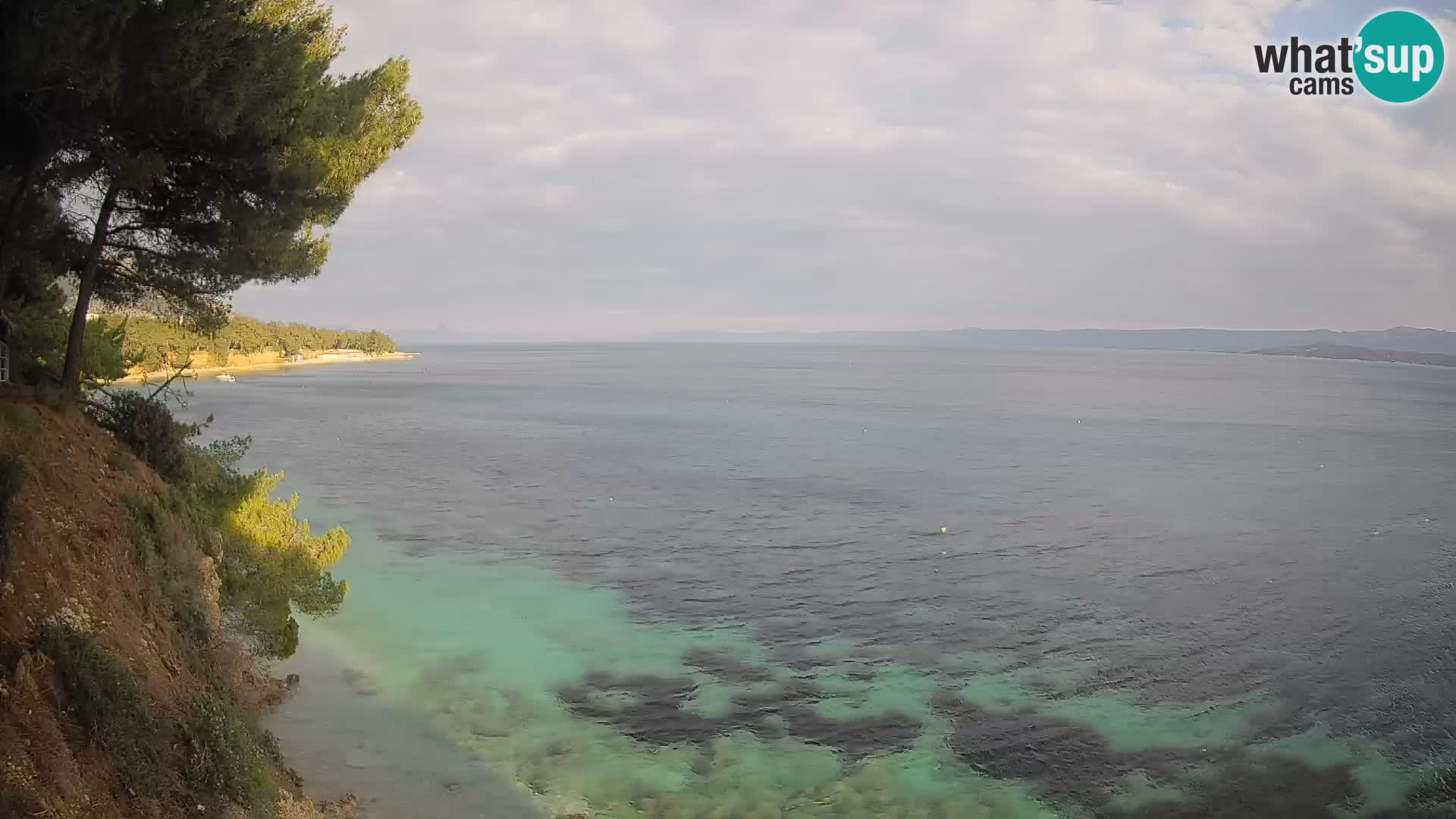 Webcam Playa Potočine Bol – Vista en vivo de Borak Beach, Isla de Brač