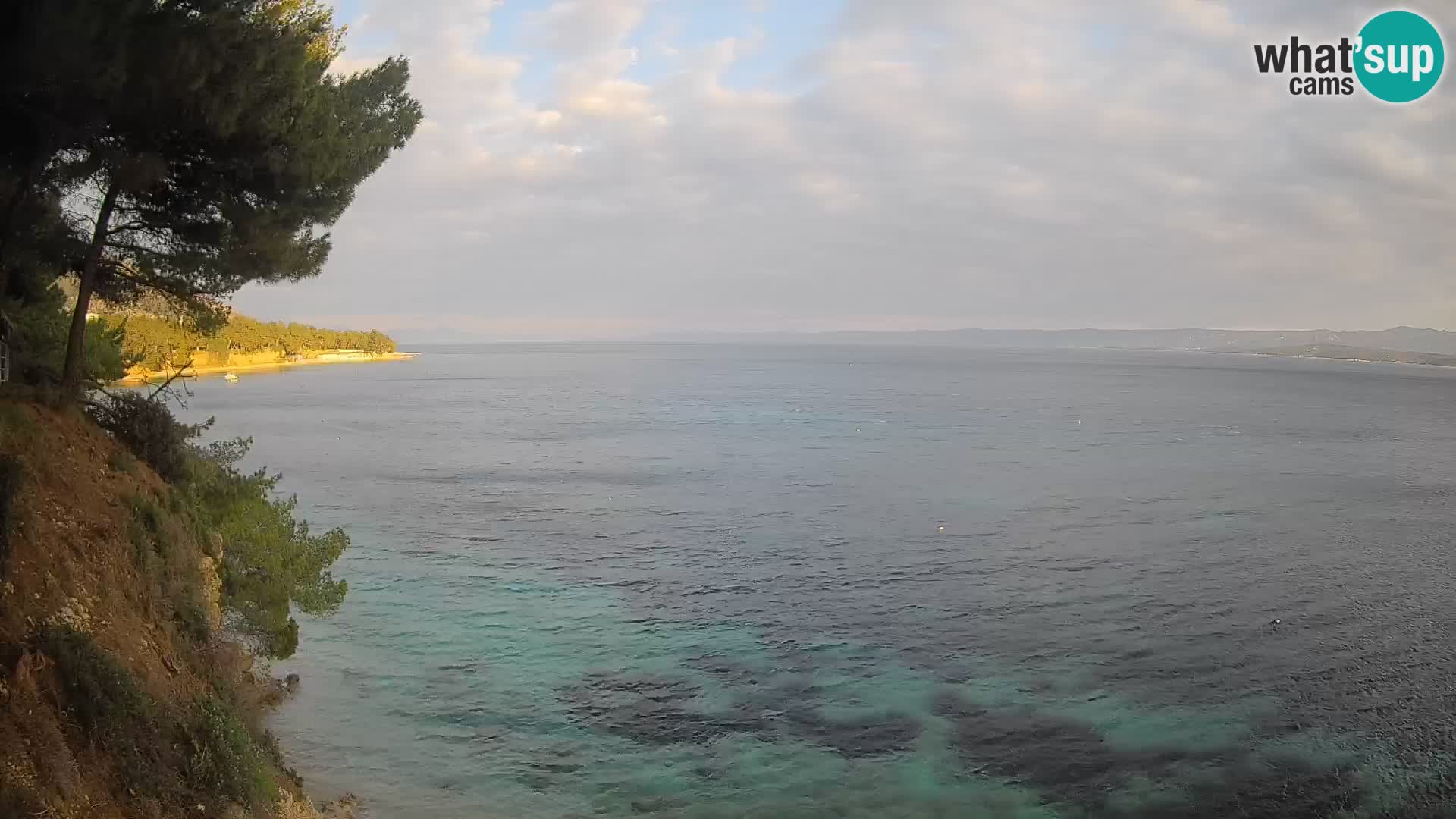 Webcam Potočine Beach Bol – Live View of Borak Beach, Brač Island