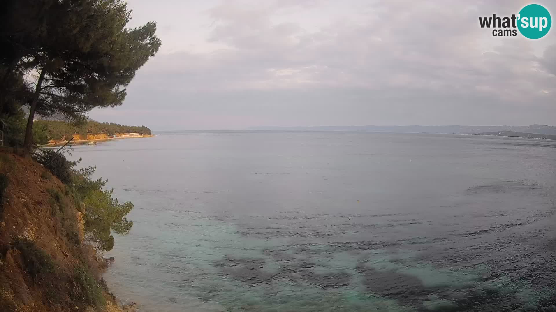 Webcam Potočine Beach Bol – Live View of Borak Beach, Brač Island