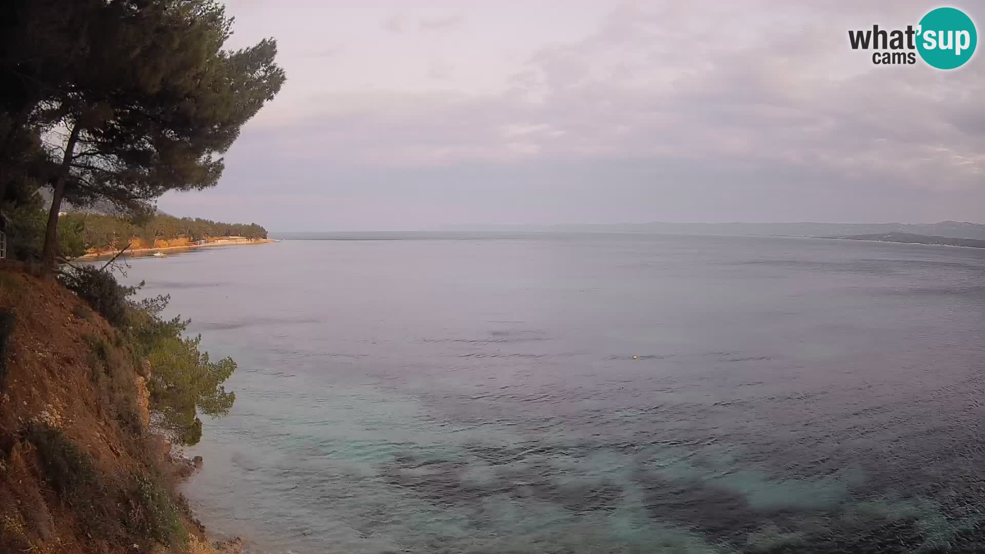 Webcam Potočine Beach Bol – Live View of Borak Beach, Brač Island