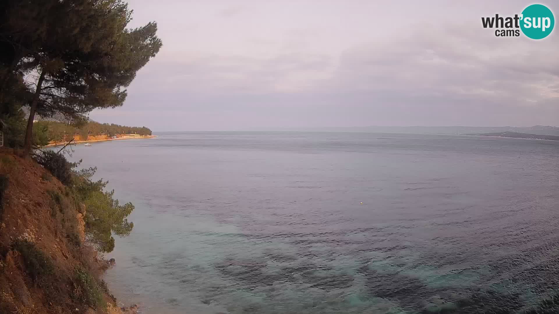 Webcam Potočine Beach Bol – Live View of Borak Beach, Brač Island