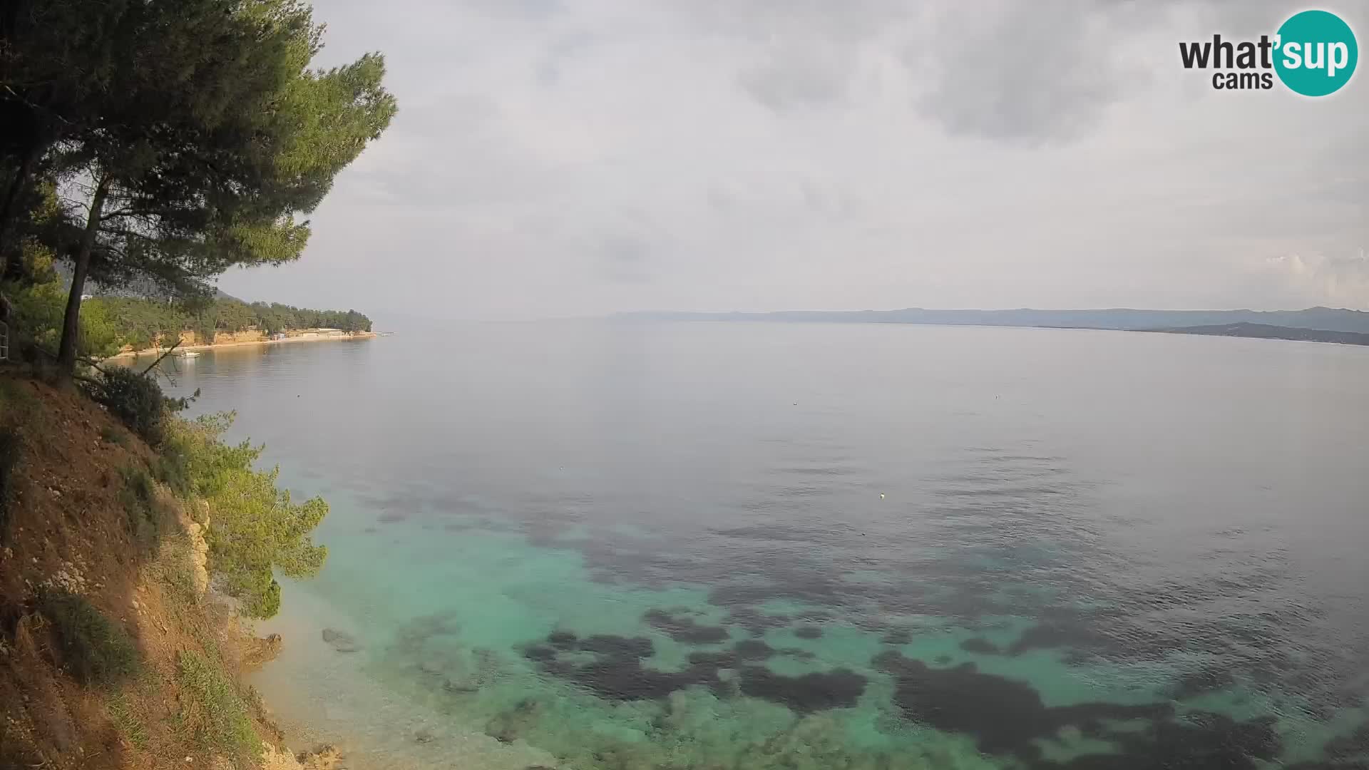 Webcam Potočine Beach Bol – Live View of Borak Beach, Brač Island