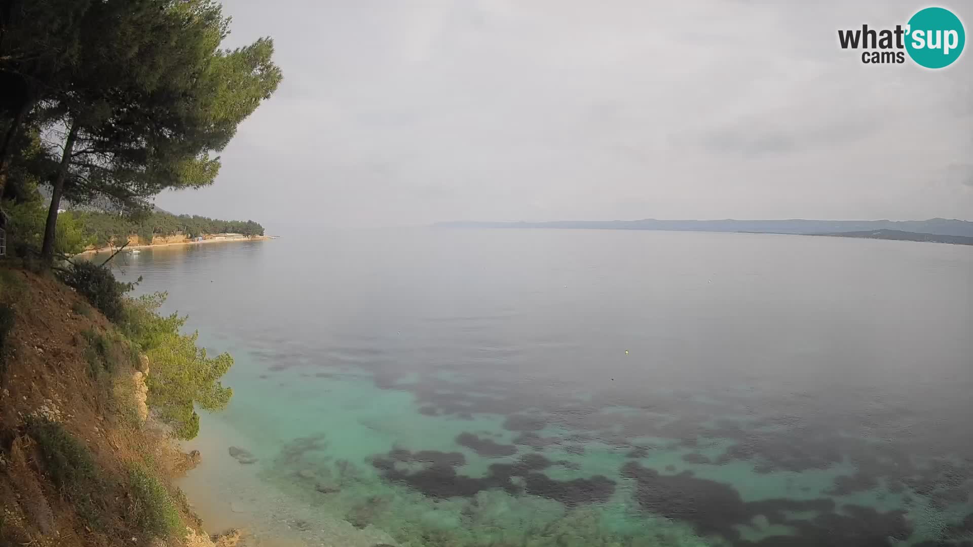 Webcam Potočine Beach Bol – Live View of Borak Beach, Brač Island