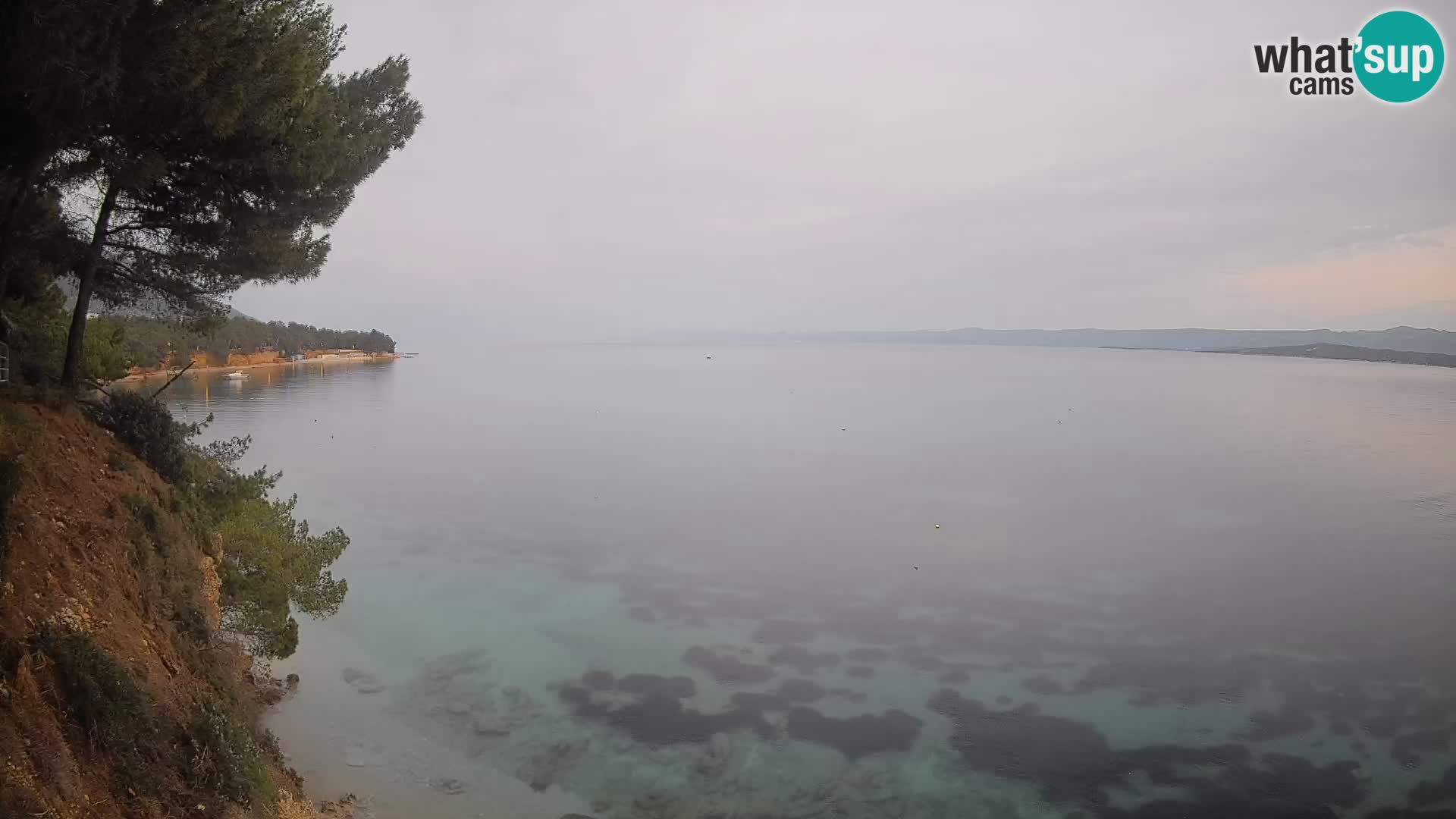 Webcam Potočine Beach Bol – Live View of Borak Beach, Brač Island