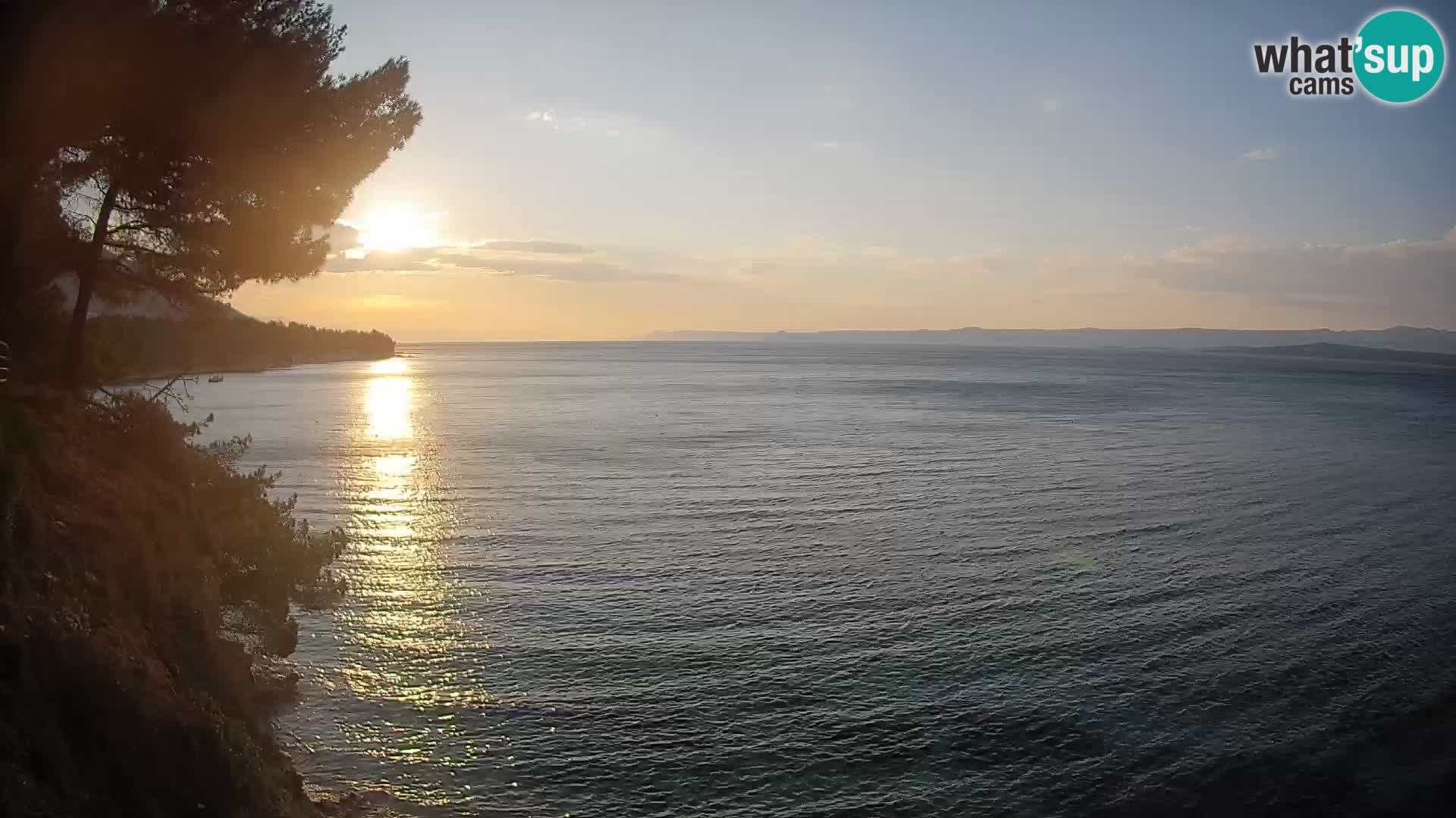 Webcam Playa Potočine Bol – Vista en vivo de Borak Beach, Isla de Brač