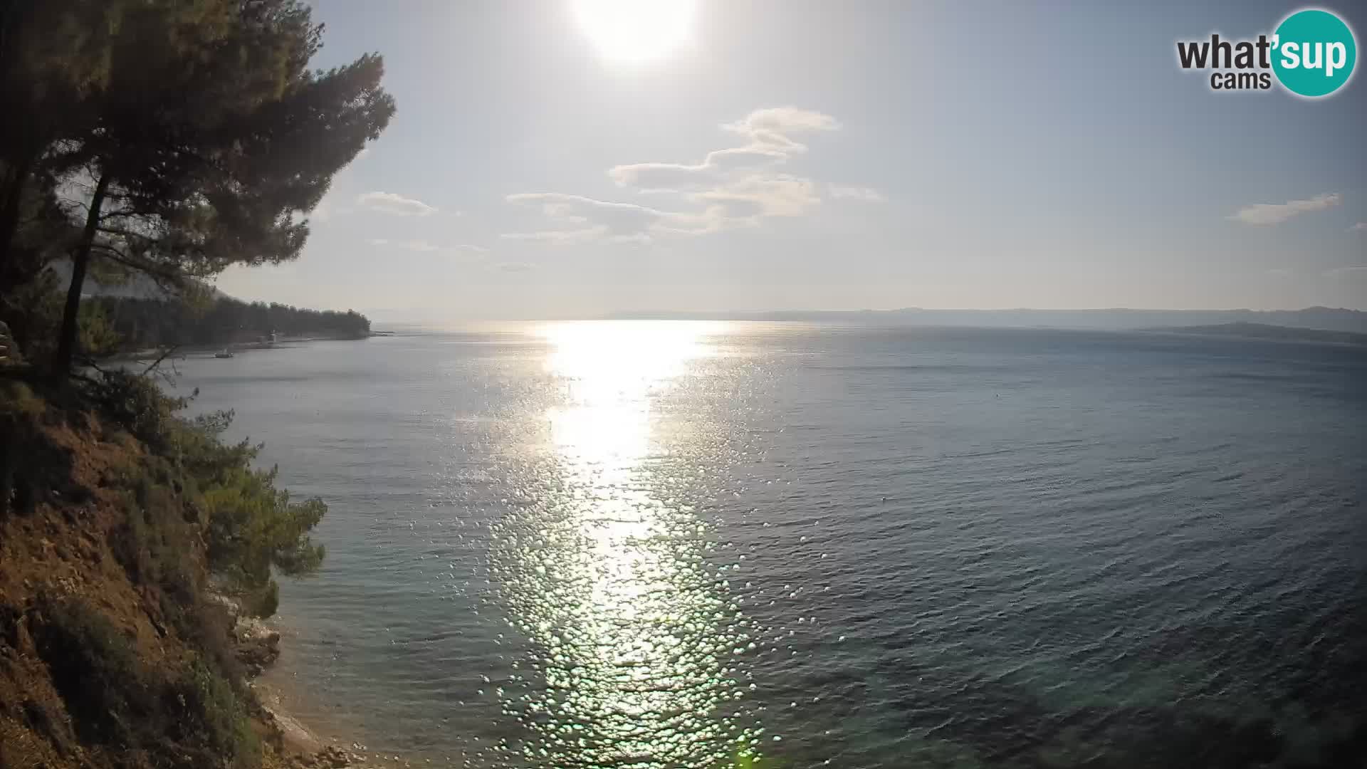 Webcam Playa Potočine Bol – Vista en vivo de Borak Beach, Isla de Brač